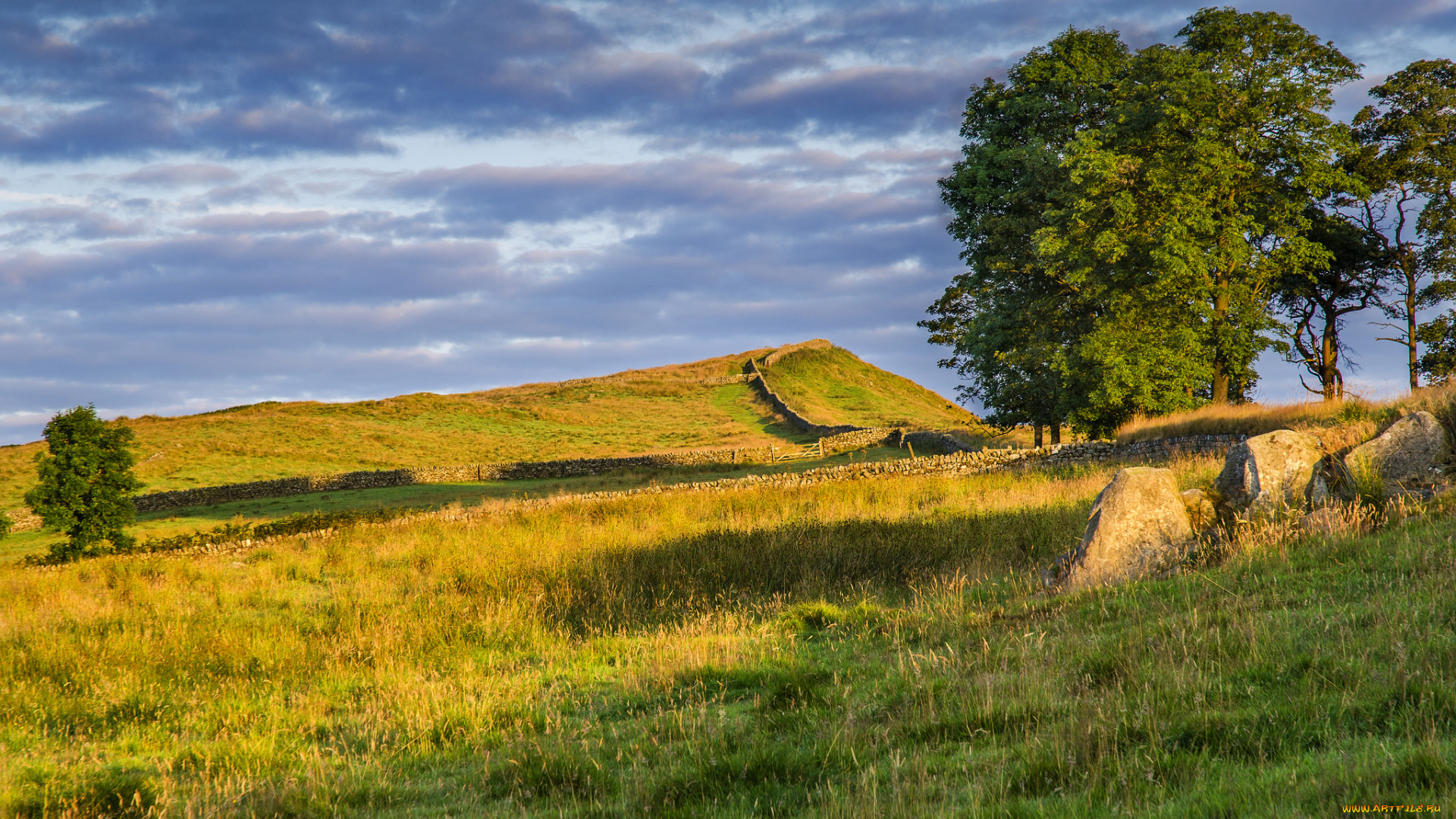 природа, пейзажи, холм, стенка, трава