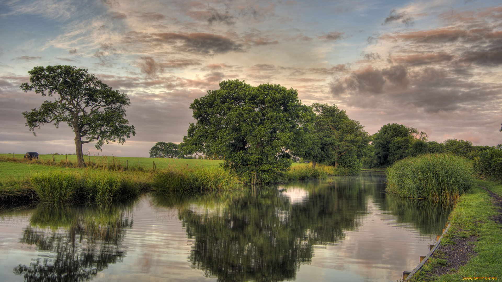 природа, реки, озера, лес, река, облака