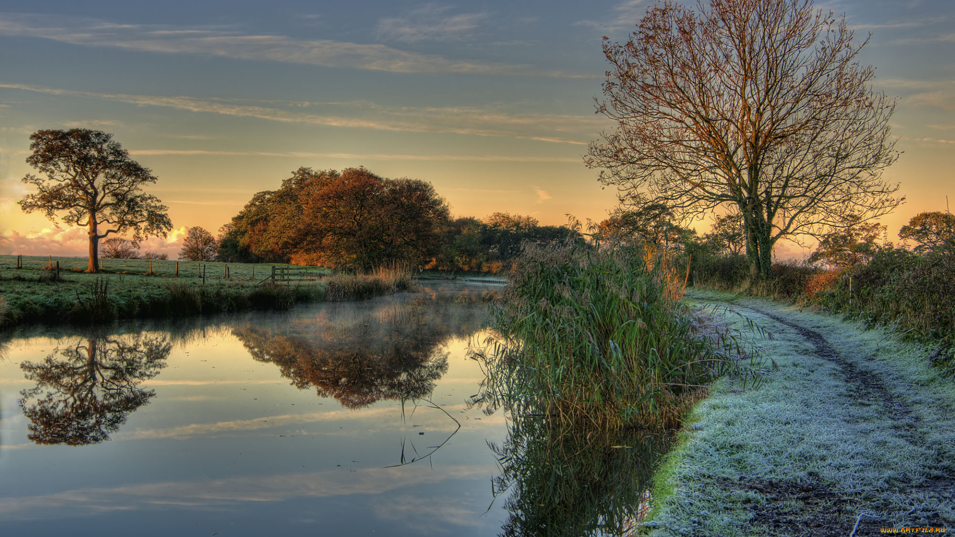 природа, реки, озера, река, иней, лес