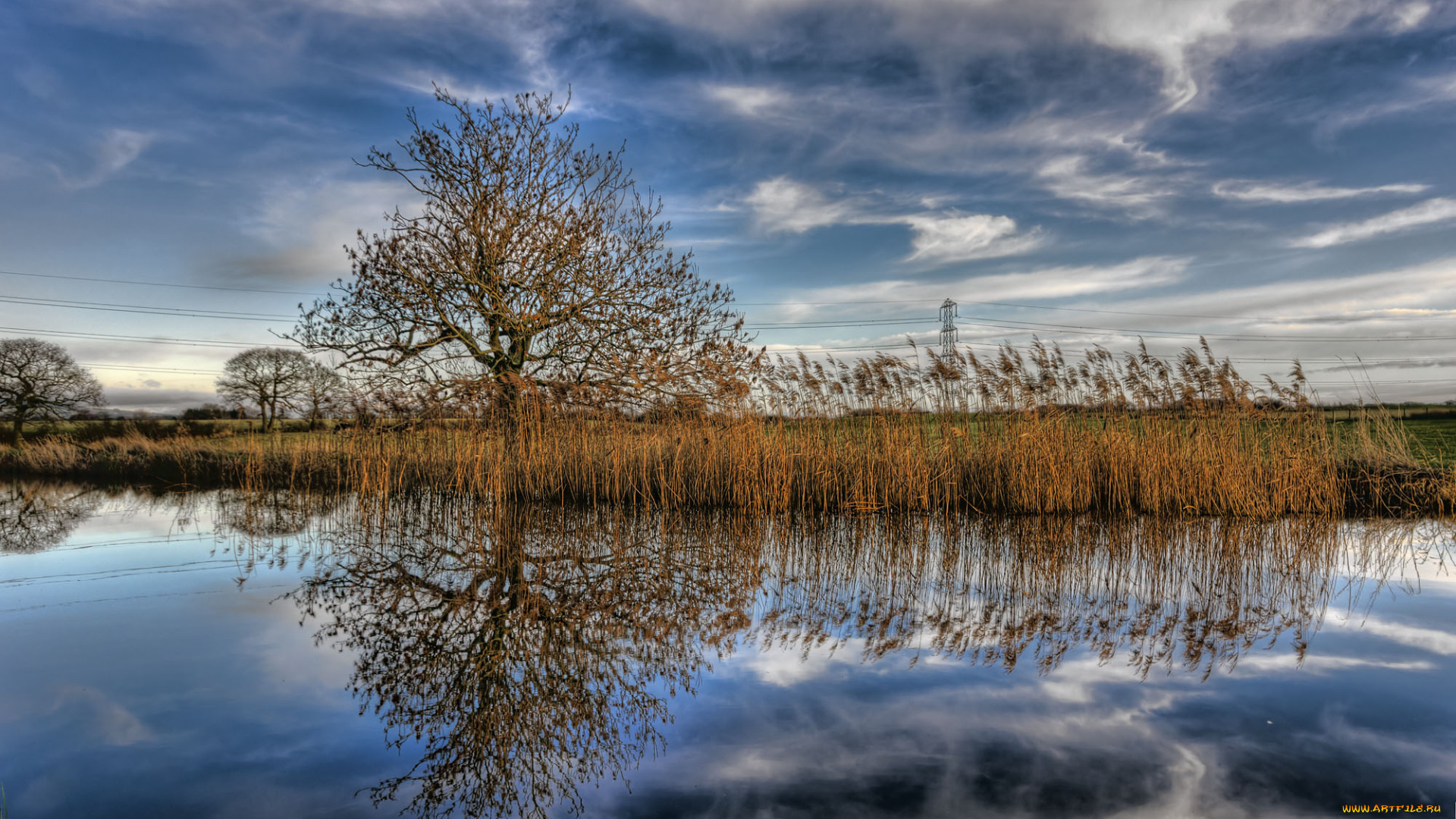 природа, реки, озера, река, камыш, облака