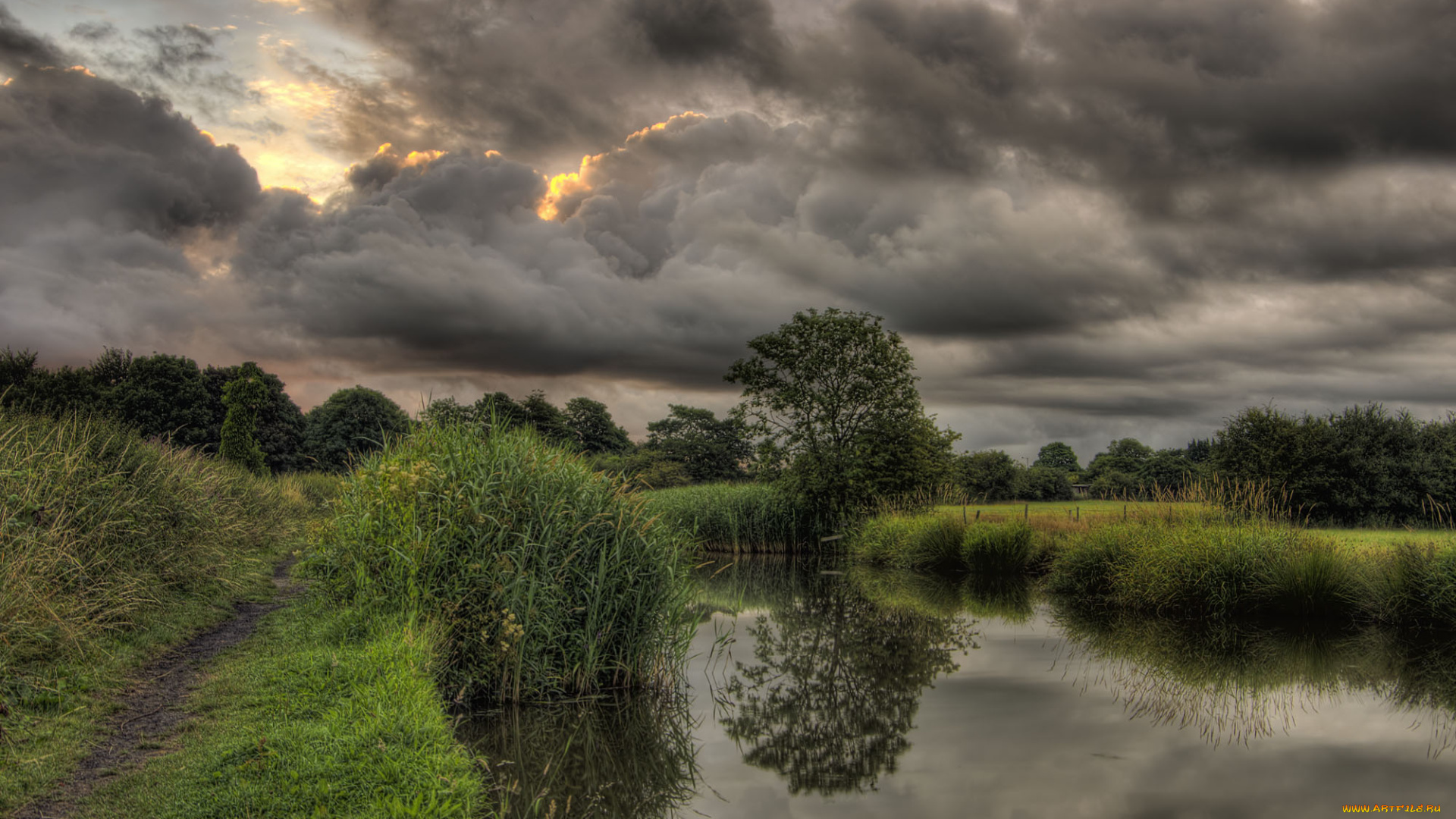 природа, реки, озера, река, лес