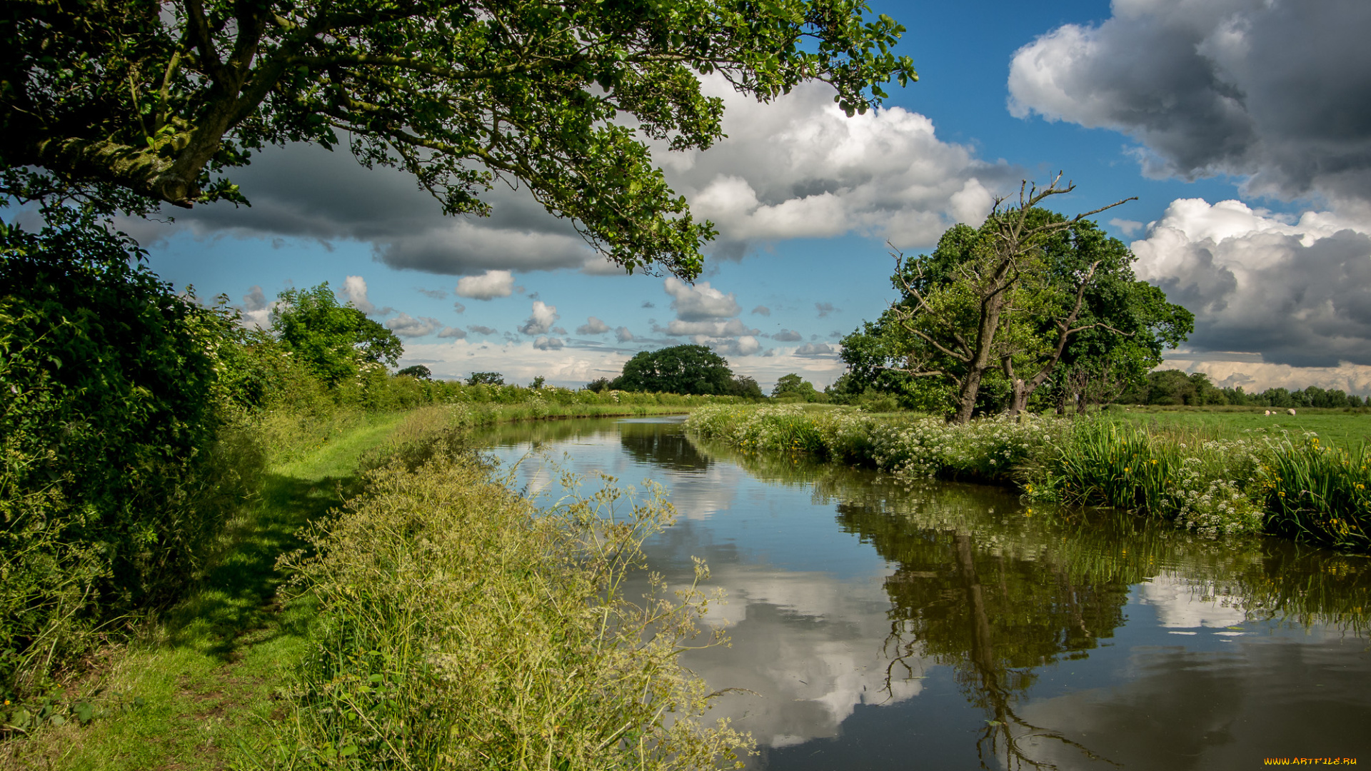 природа, реки, озера, тропинка, берен, река