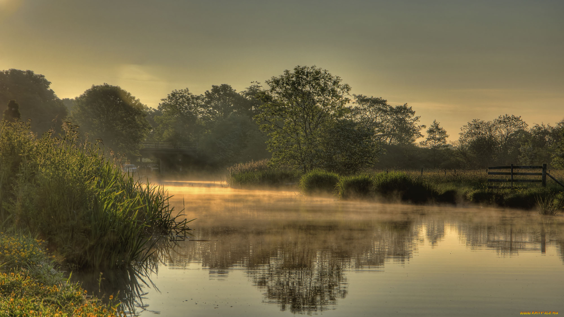 природа, реки, озера, туман, река, лес