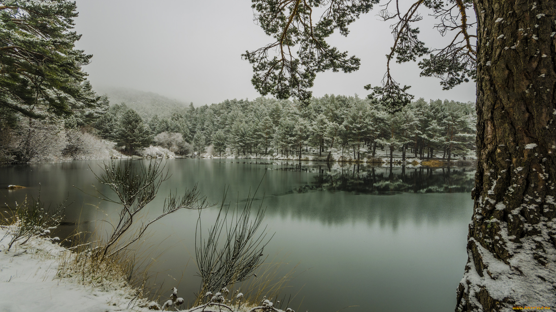 природа, реки, озера, туман, снег, река, лес, горы