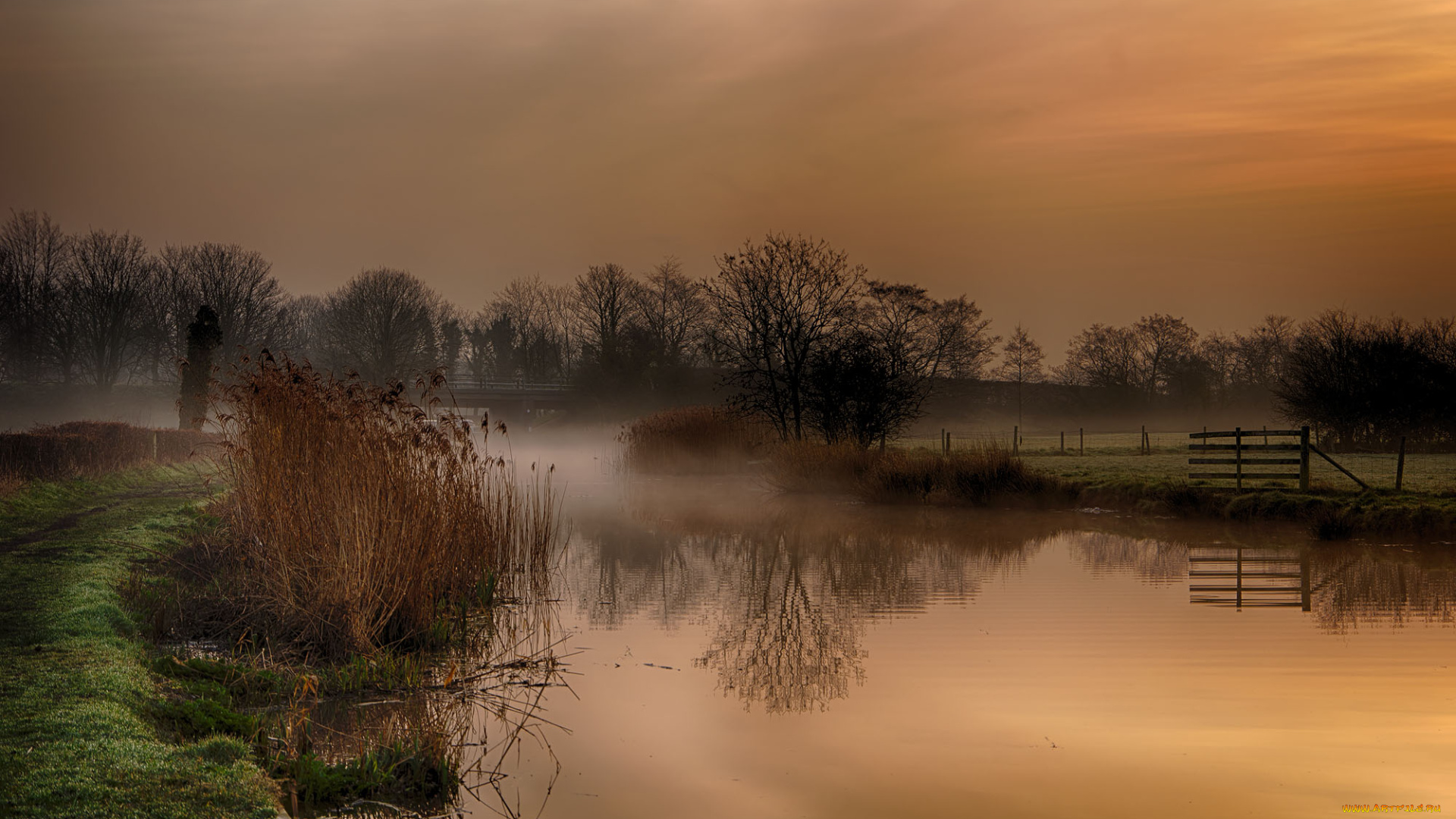 природа, реки, озера, утро, туман, река