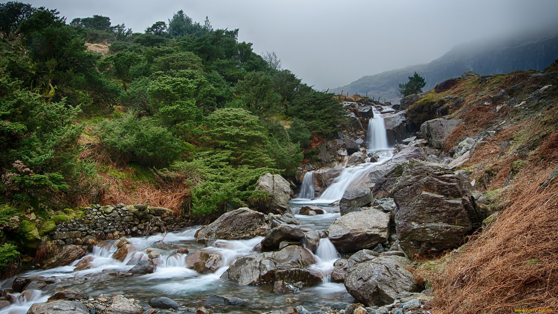 природа, водопады, водопад, река, лес