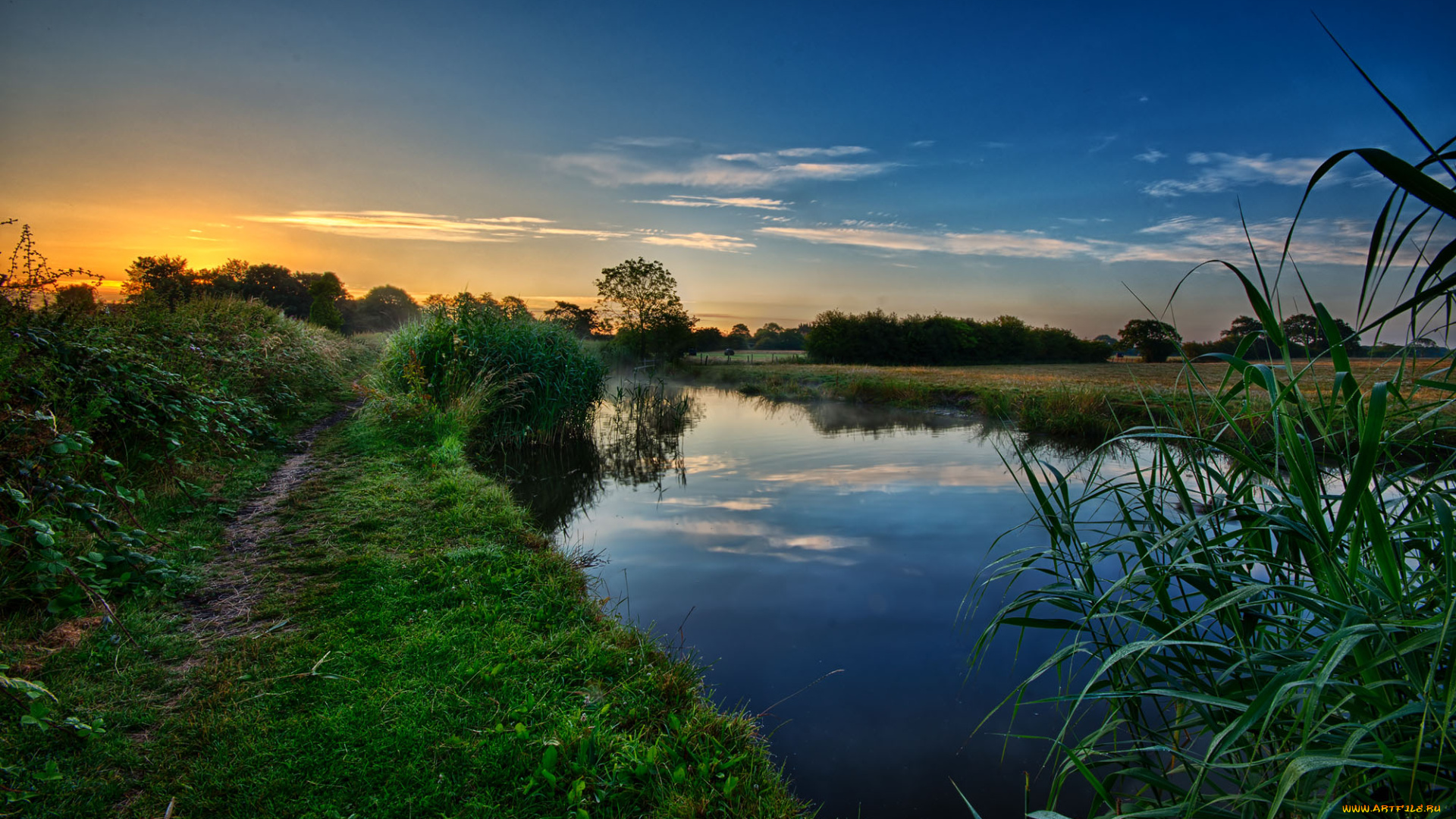 природа, восходы, закаты, река, лес, рассвет
