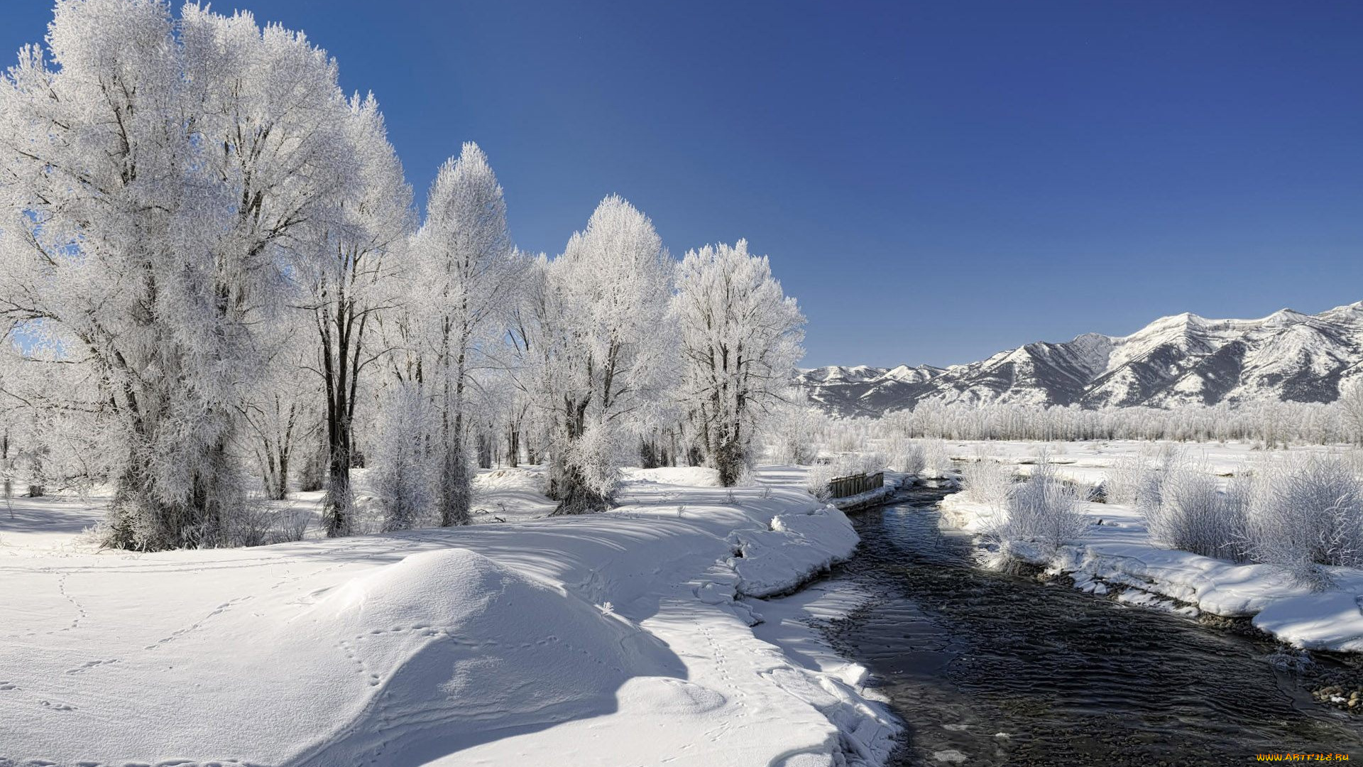 природа, зима, горы, снег, река, следы, кусты, деревья