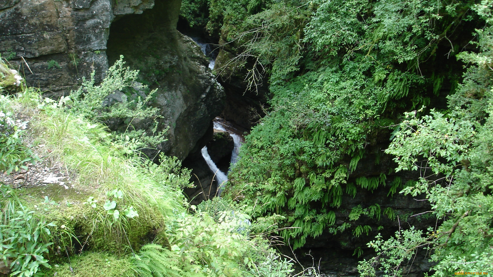 ущелье, гуамка, природа, горы, кавказские