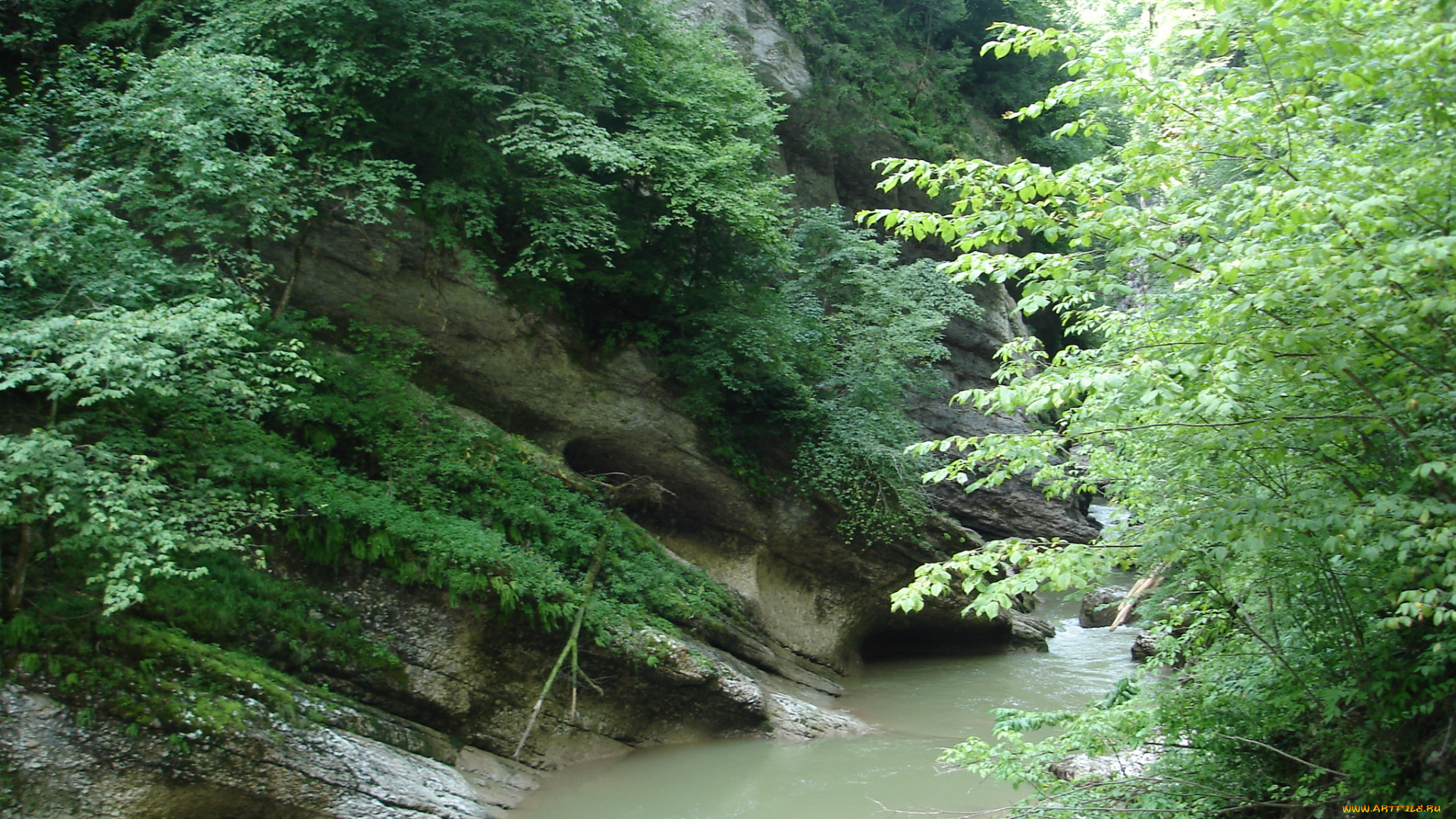 ущелье, гуамка, природа, горы, кавказские