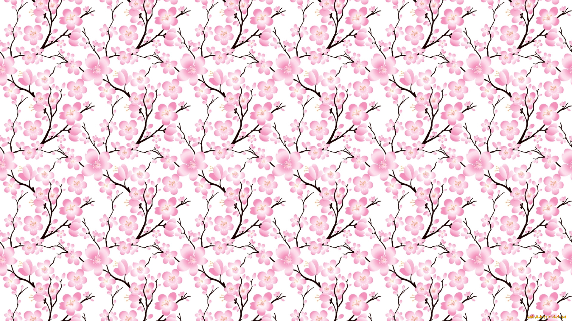 векторная, графика, цветы, , flowers, вишня, сакура, ветки, цветы