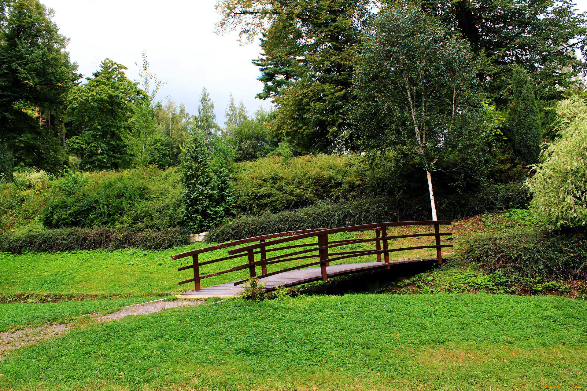 природа, парк, мостик