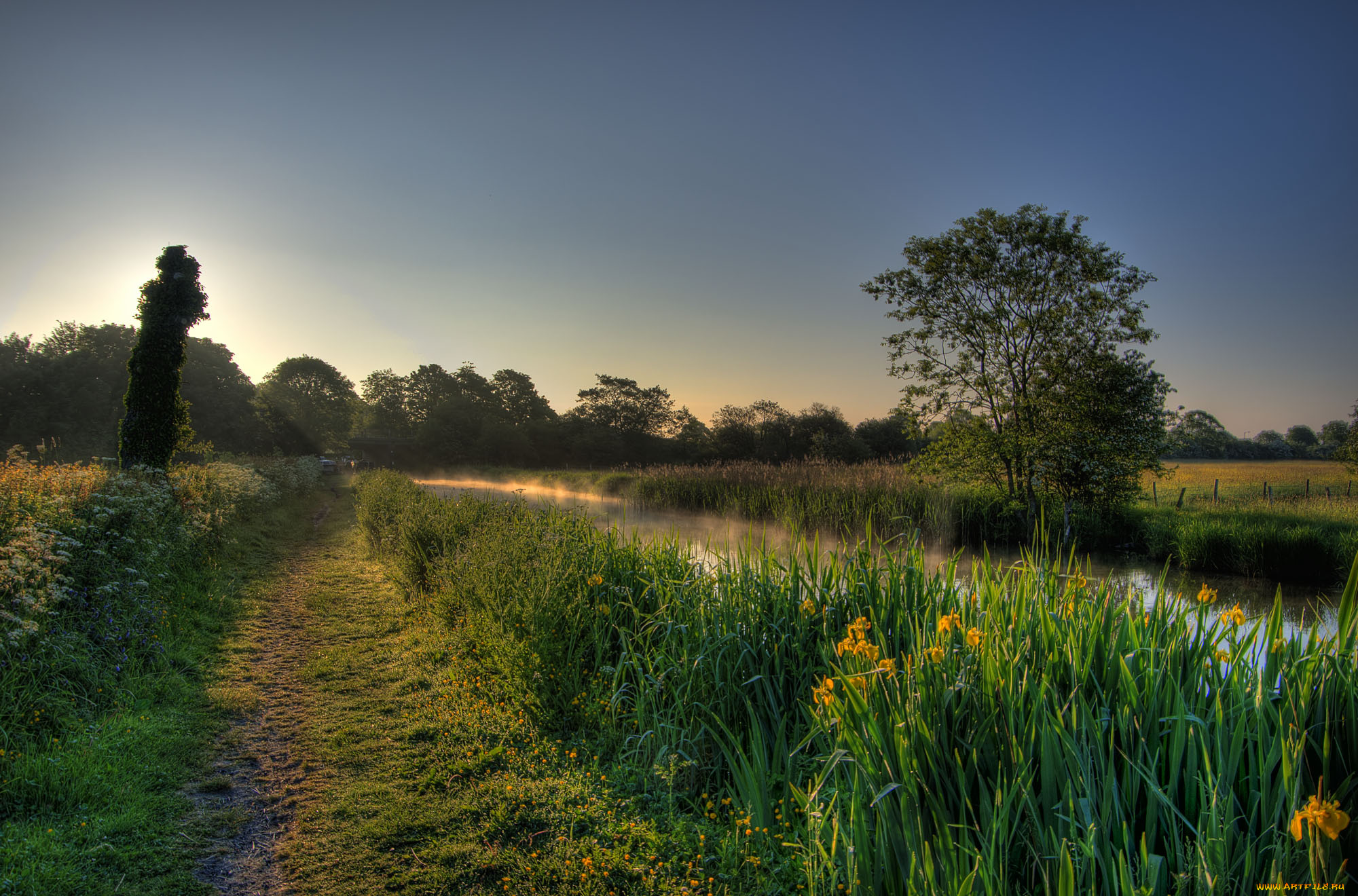 природа, дороги, река, лес, тропинка