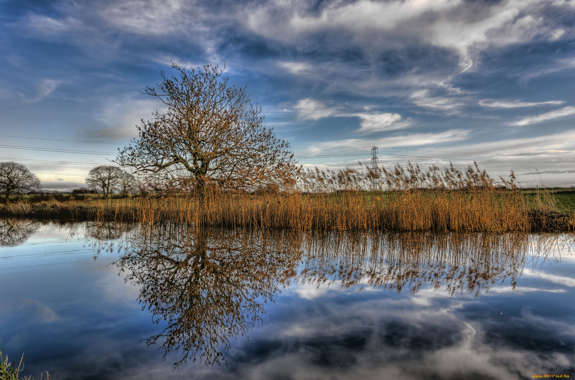 природа, реки, озера, река, камыш, облака