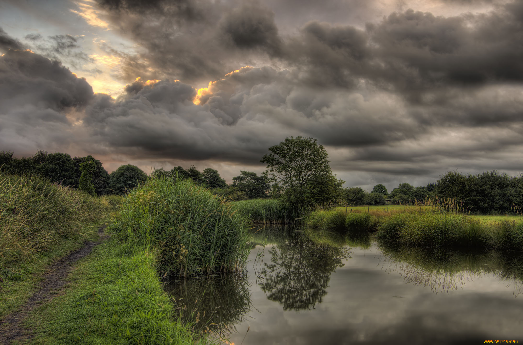 природа, реки, озера, река, лес