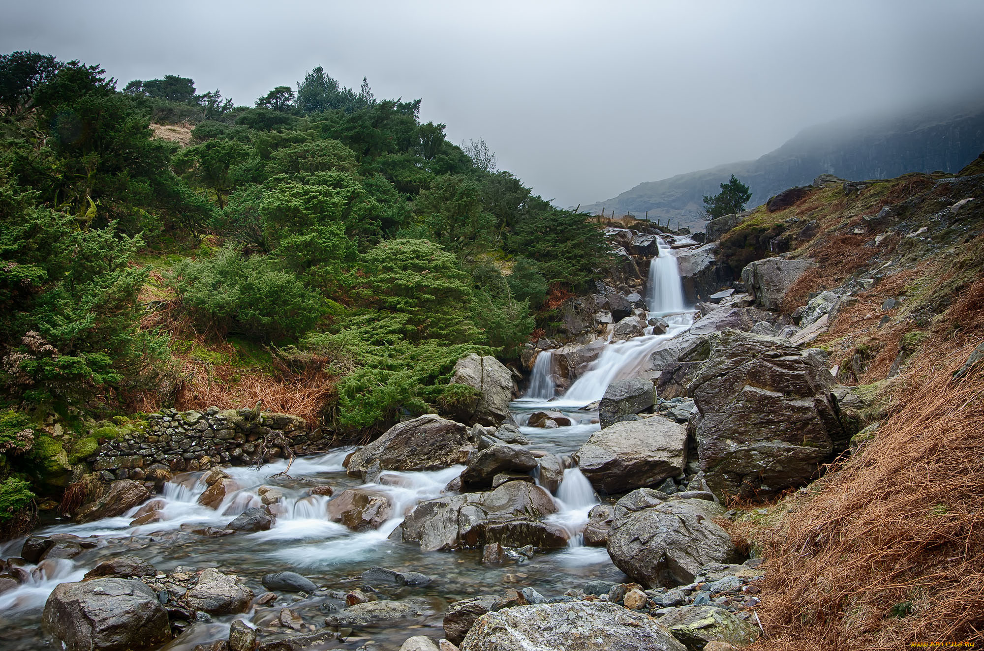 природа, водопады, водопад, река, лес