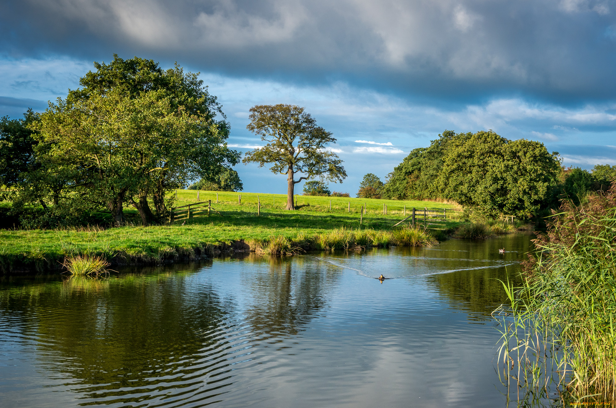 природа, реки, озера, река, растительность, тучи