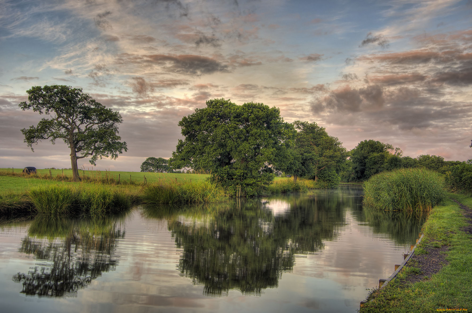 природа, реки, озера, лес, река, облака