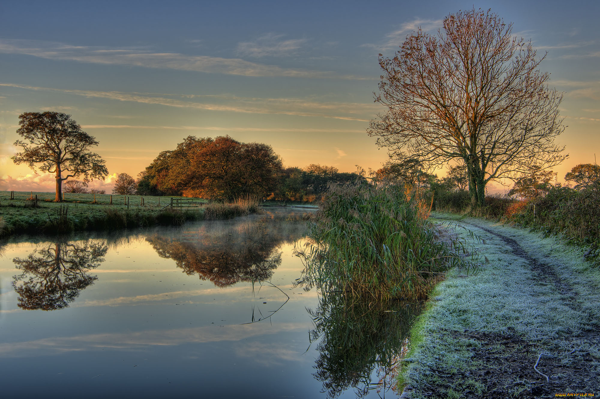 природа, реки, озера, река, иней, лес