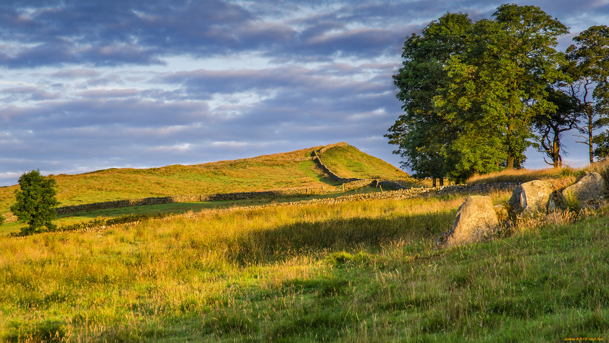 природа, пейзажи, холм, стенка, трава