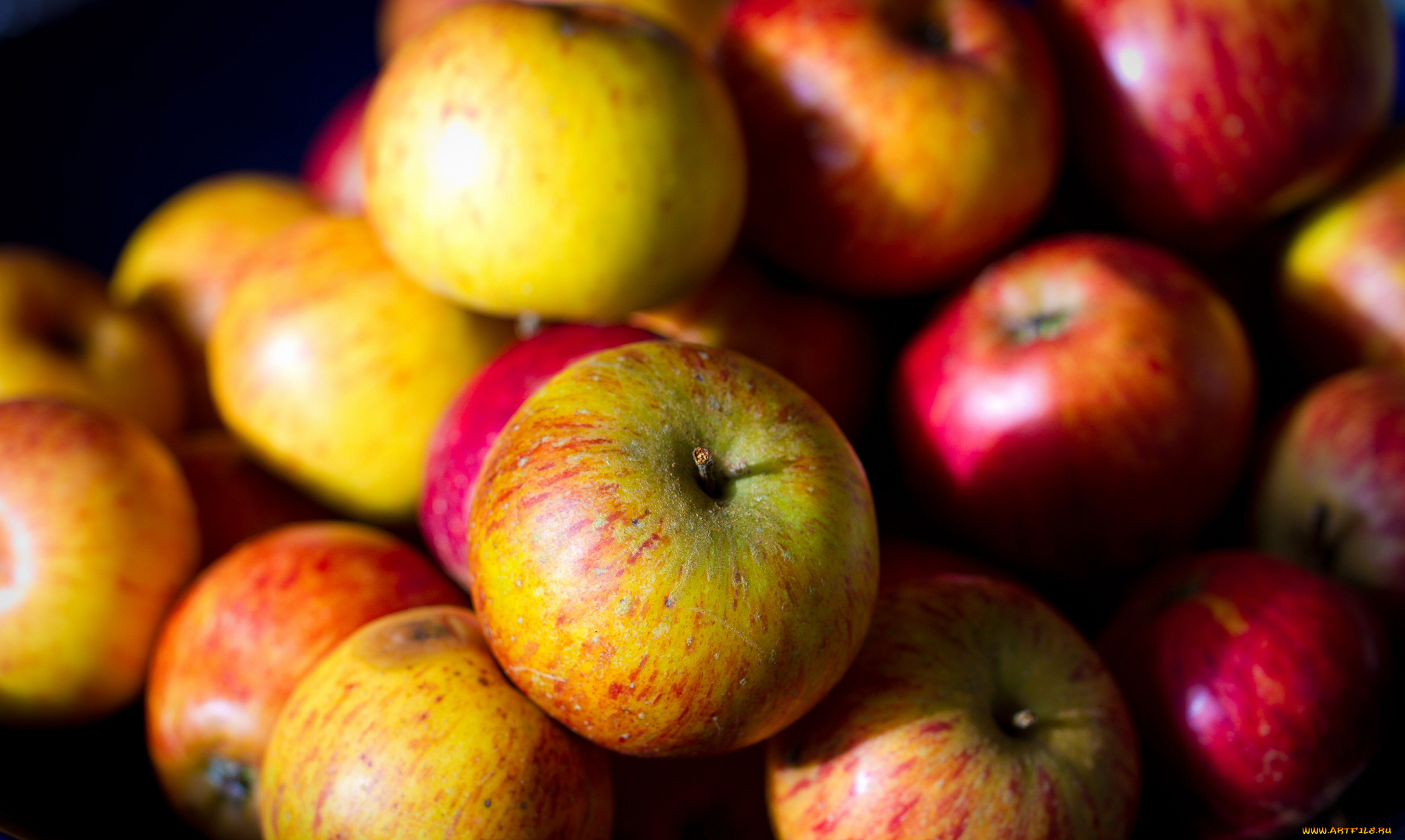 еда, Яблоки, много, макро, плоды