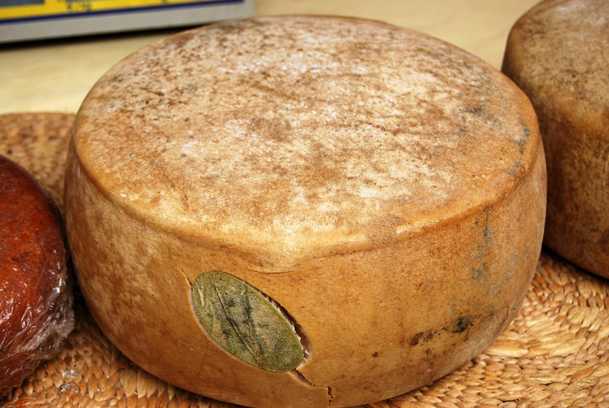 curiosa, corteza, еда, сырные, изделия, сыр