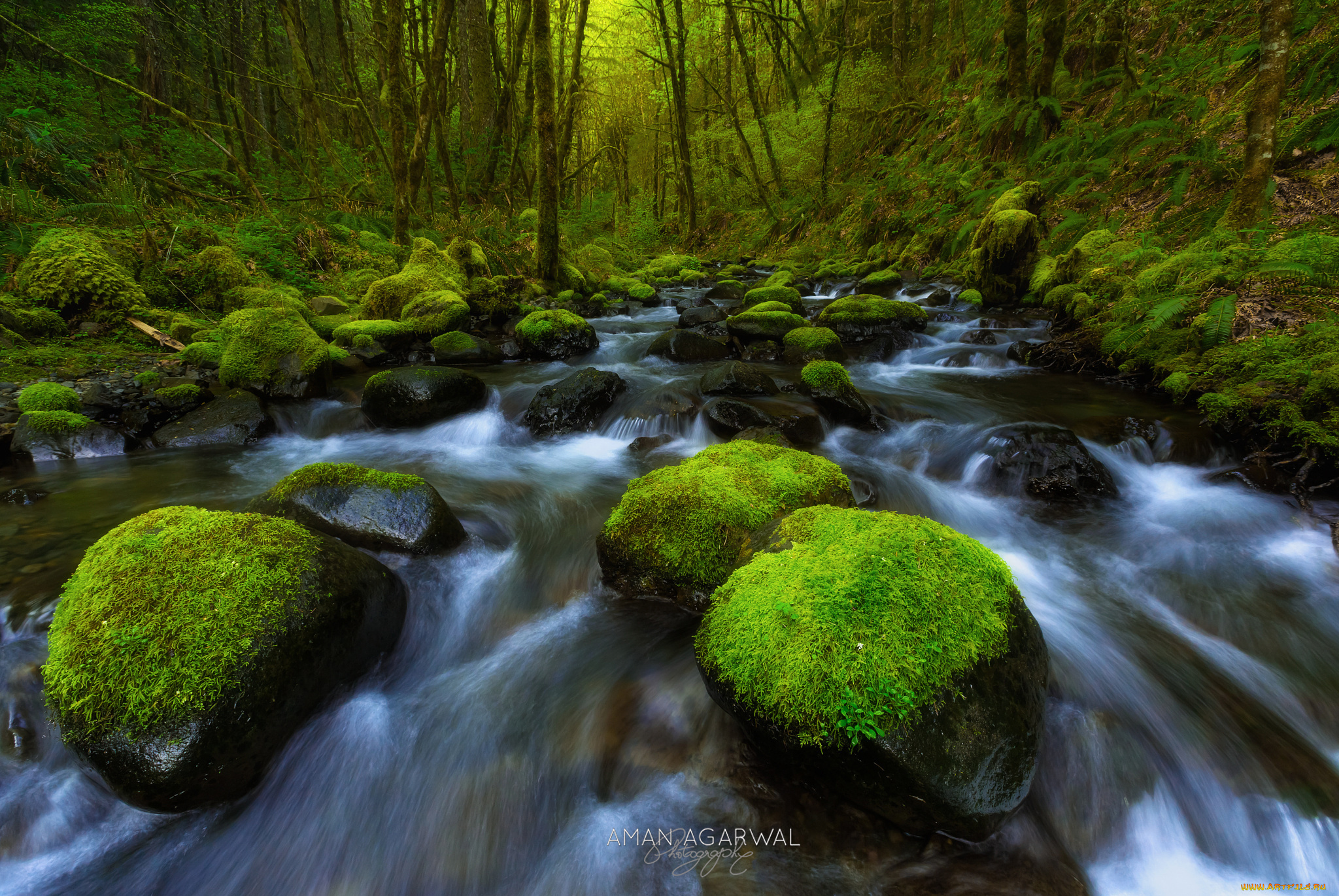 природа, реки, озера, вода, мох, камни, поток, река, колумбия