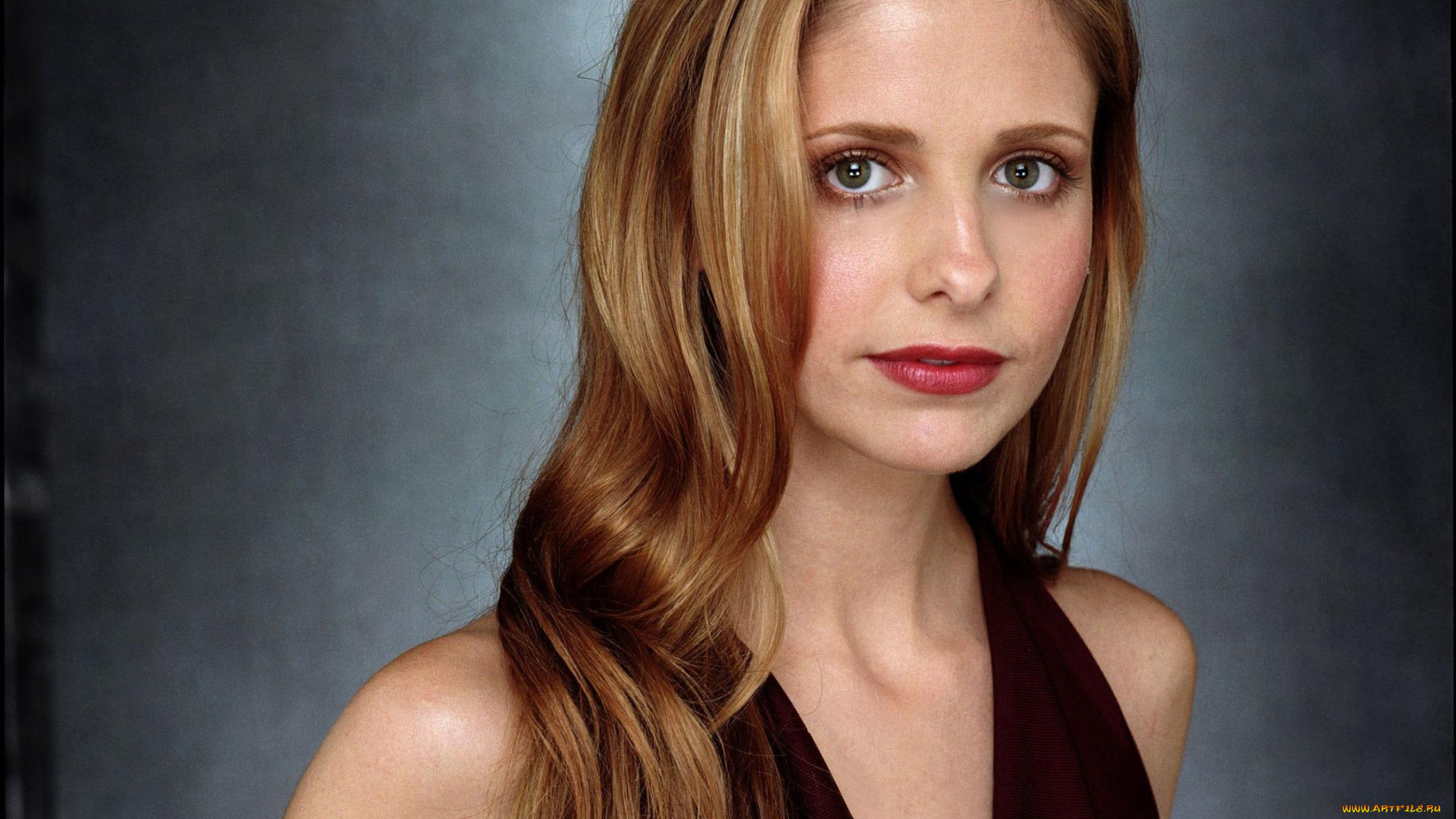 девушки, sarah, michelle, gellar, декольте, актриса, взгляд, сара, мишель, геллар