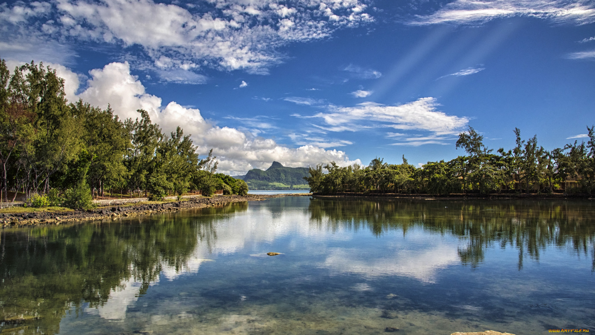 природа, реки, озера, лес, река