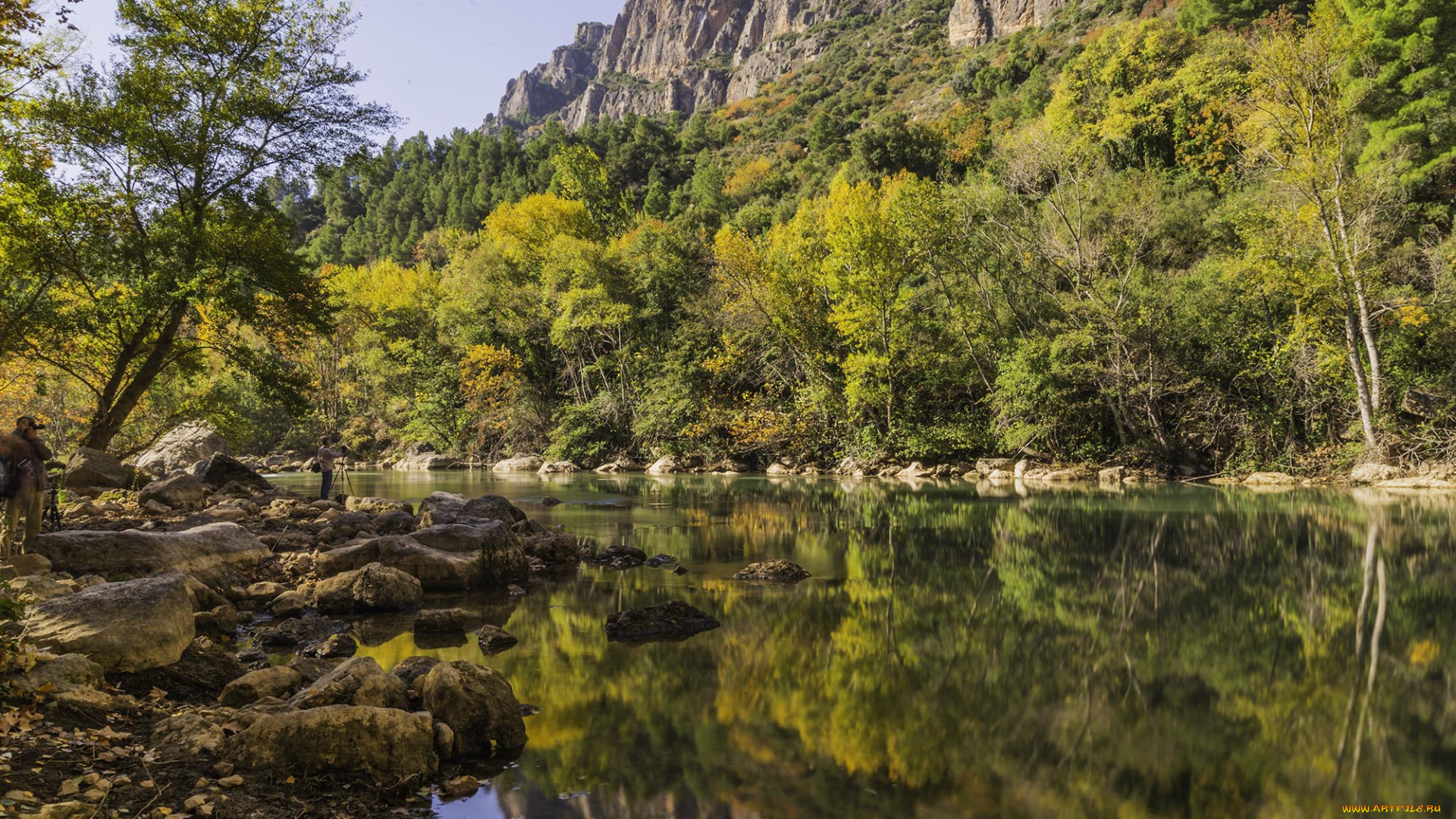 природа, реки, озера, река, лес