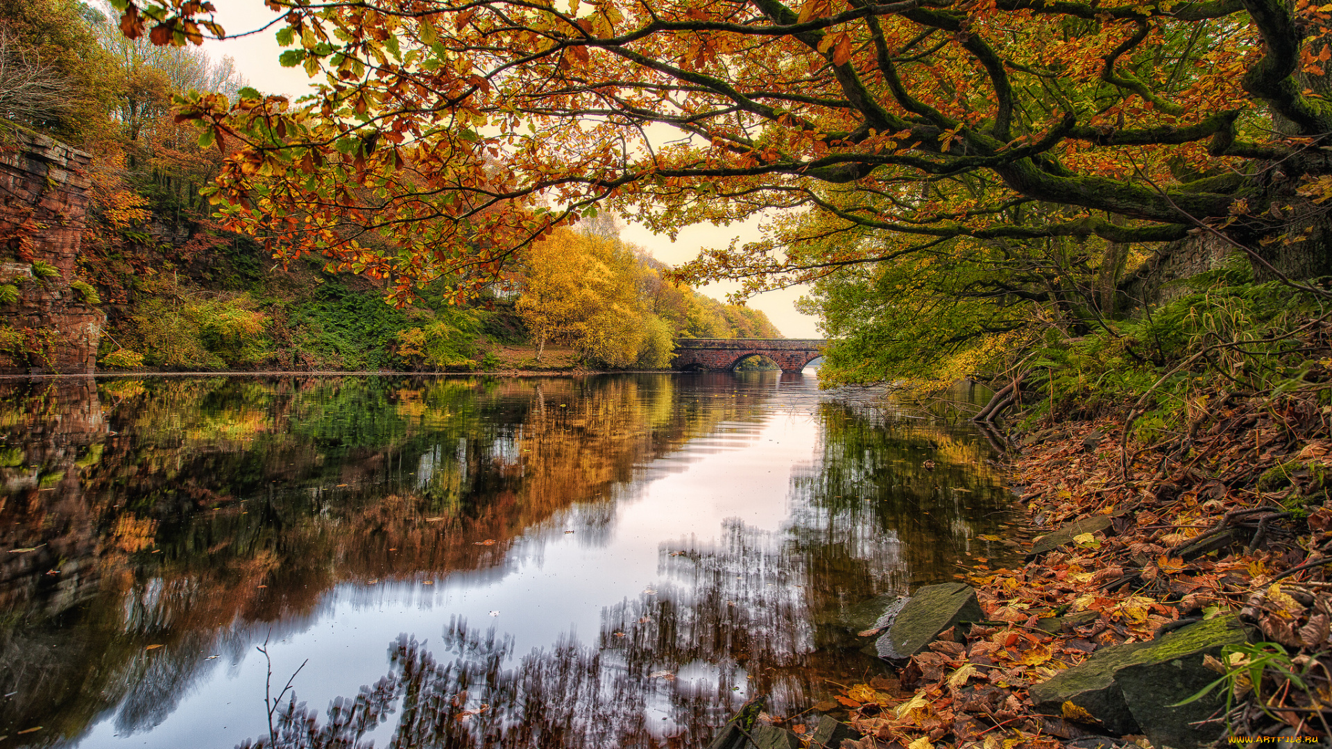 природа, реки, озера, река, лес