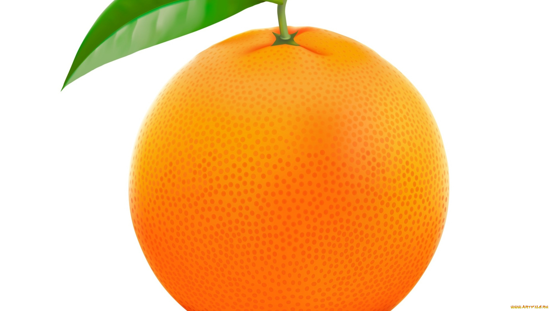 векторная, графика, еда, , food, фон, апельсин