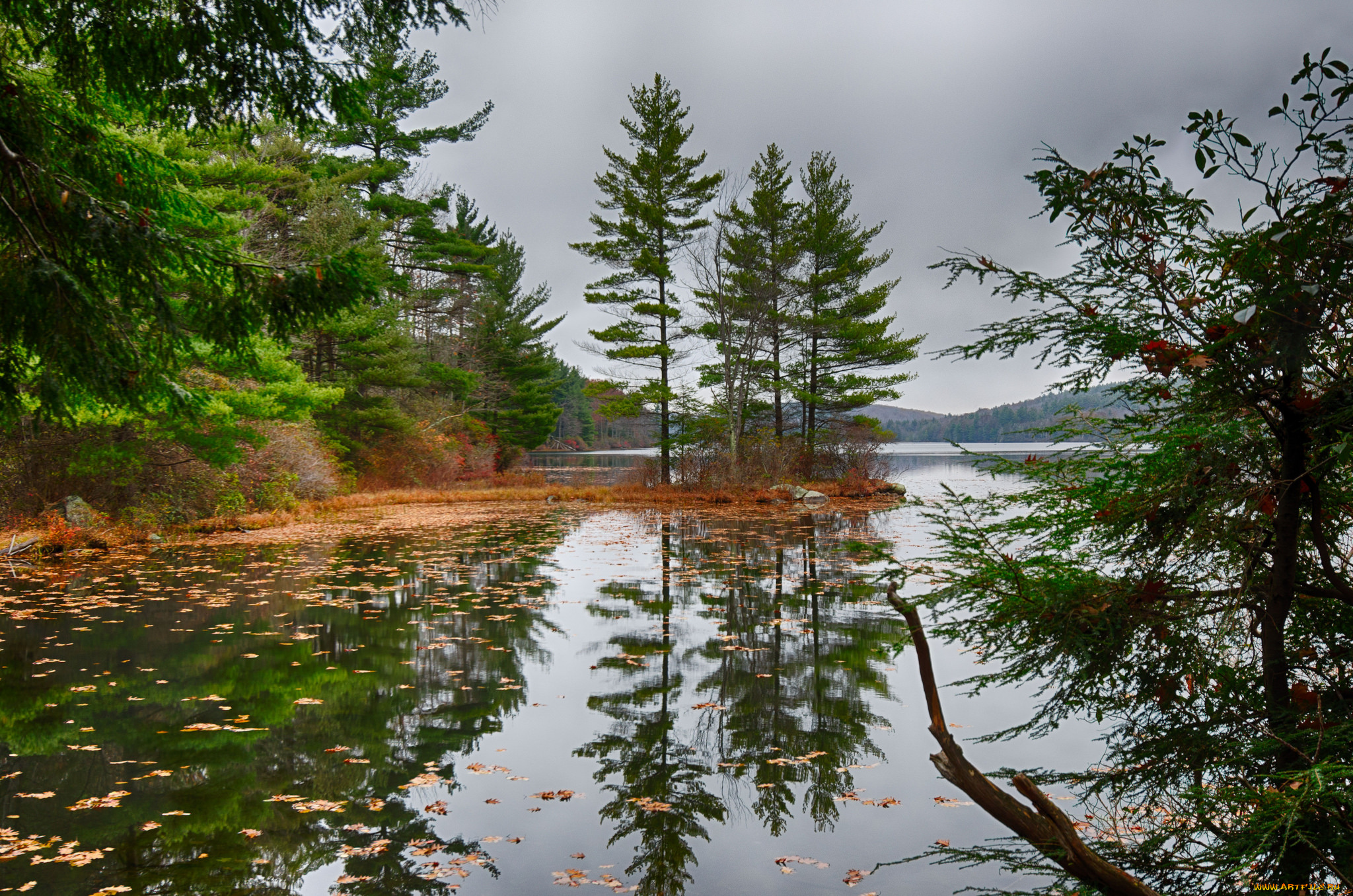 природа, реки, озера, река, лес