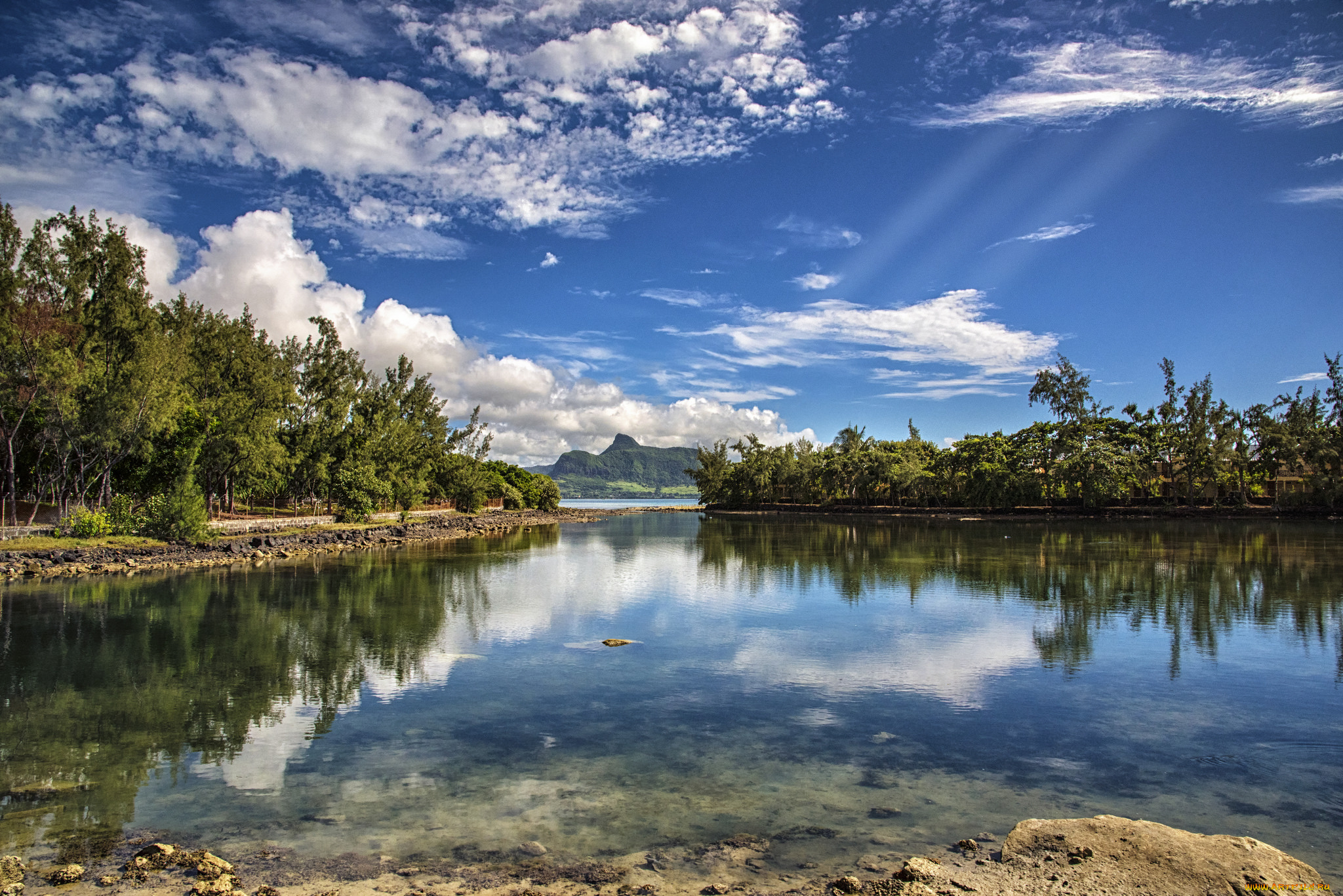 природа, реки, озера, лес, река