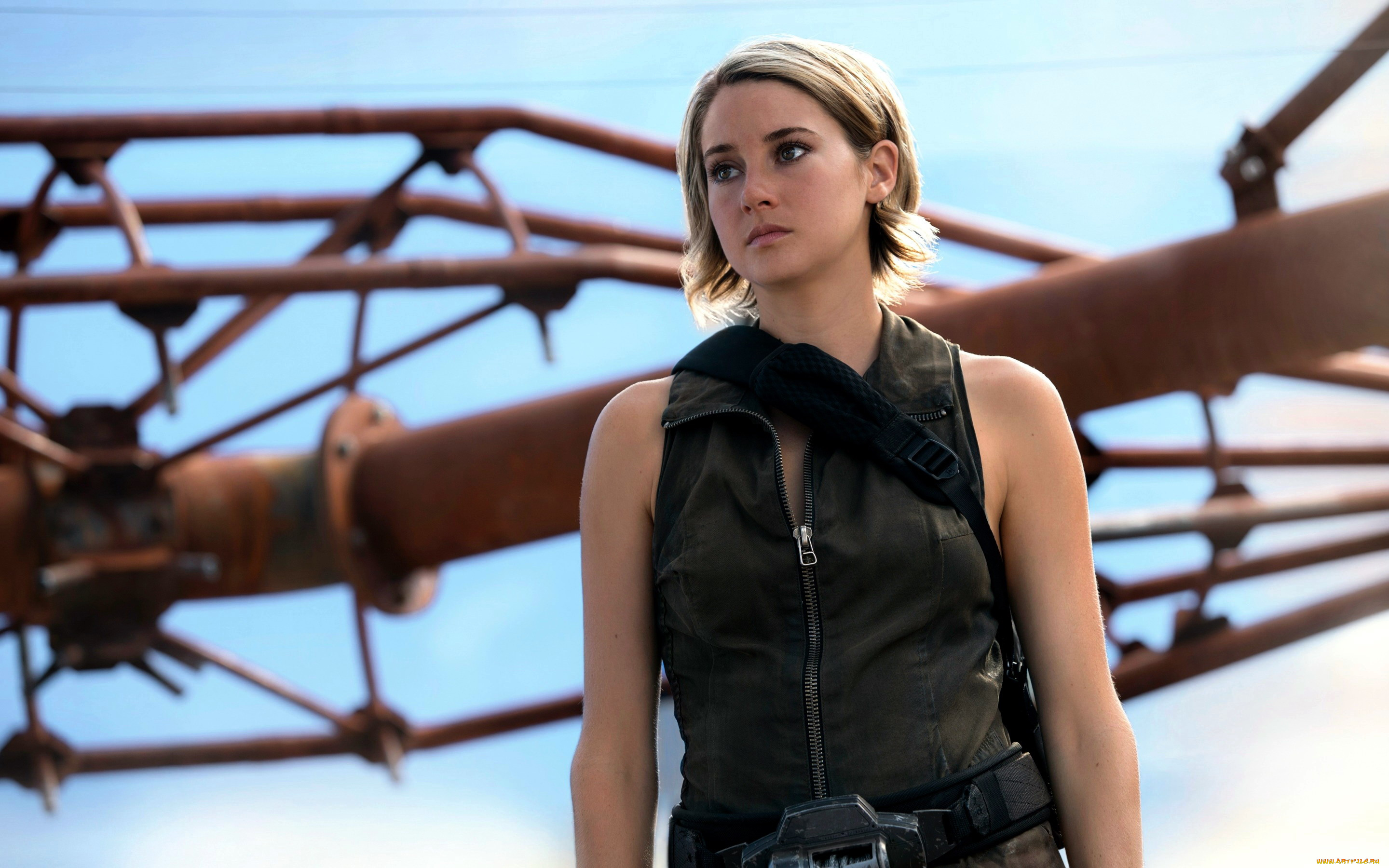 кино, фильмы, allegiant, shailene, woodley, tris