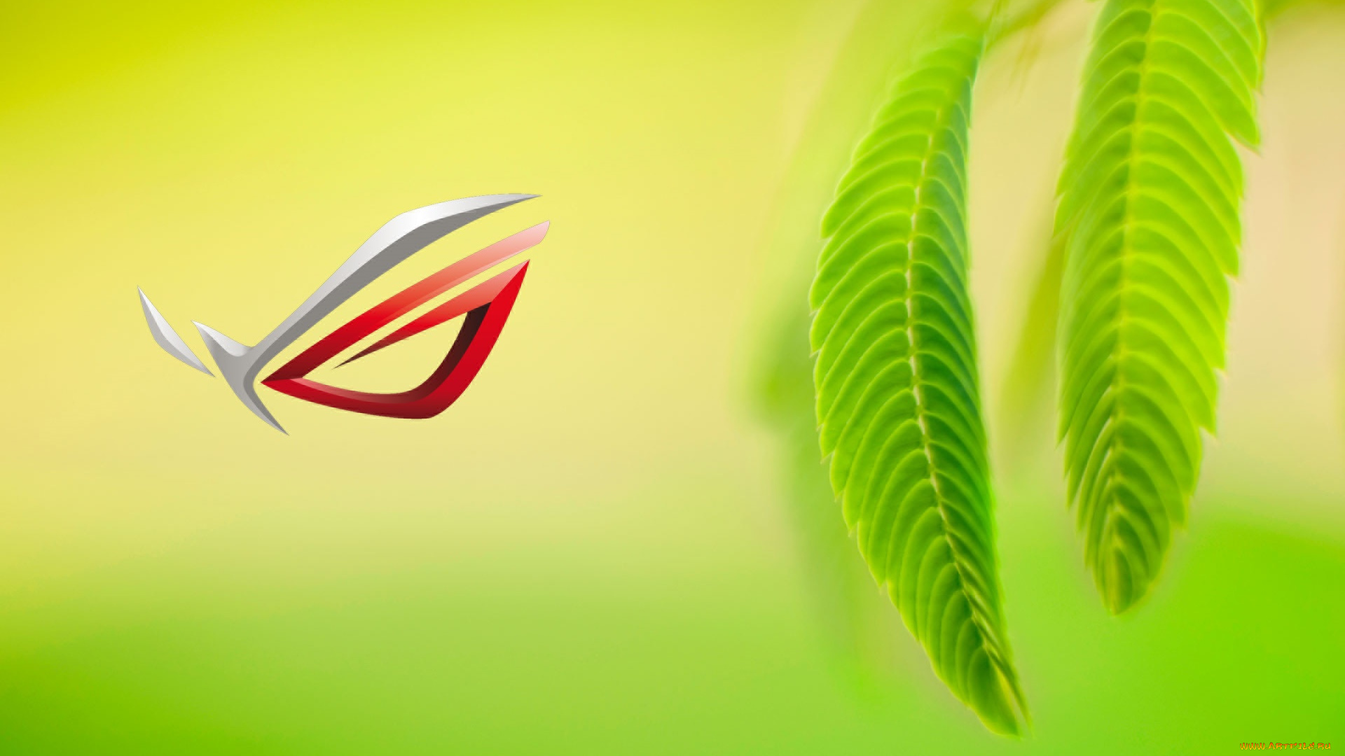 компьютеры, asus, фон, логотип