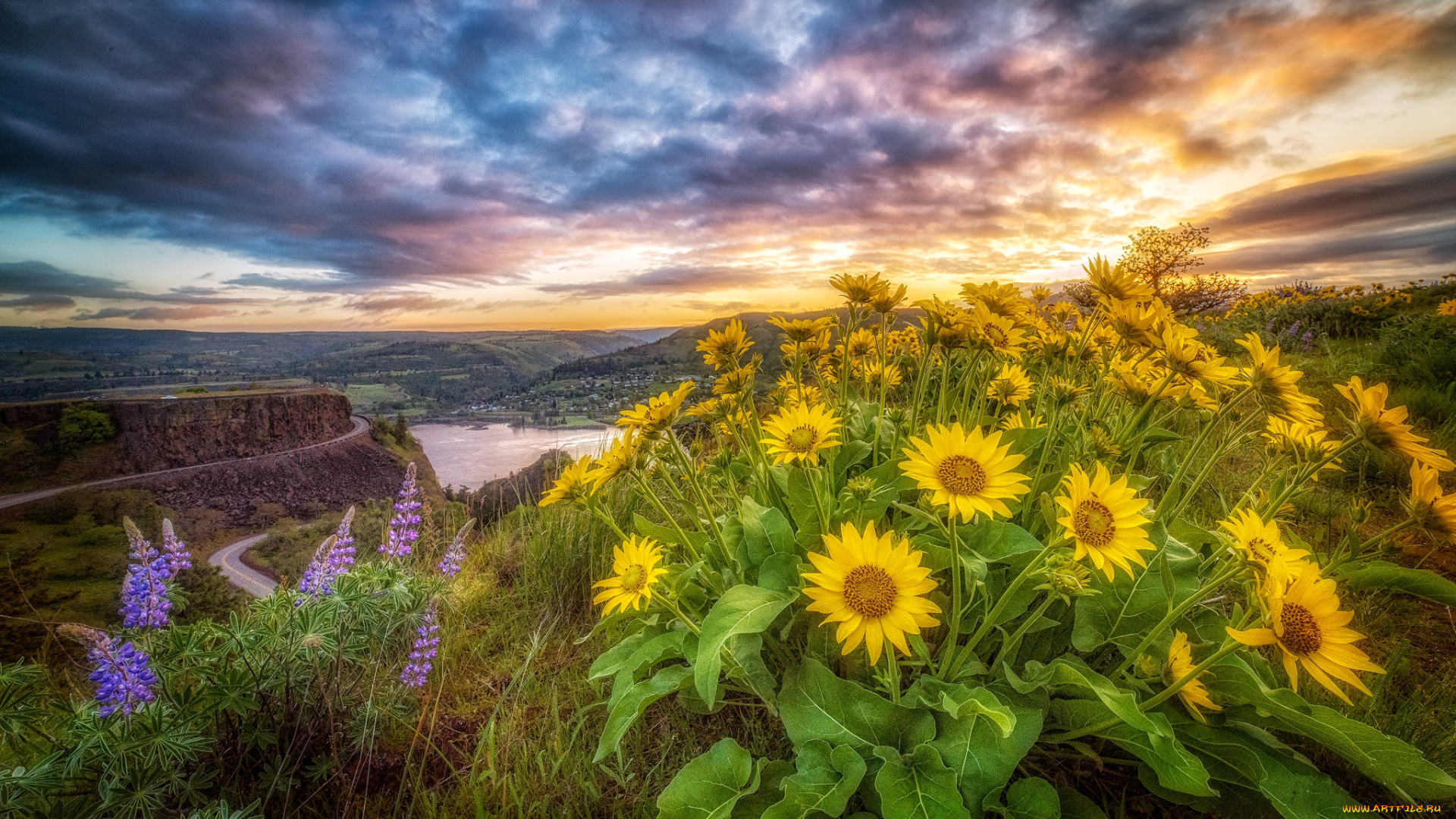 природа, пейзажи, рассвет