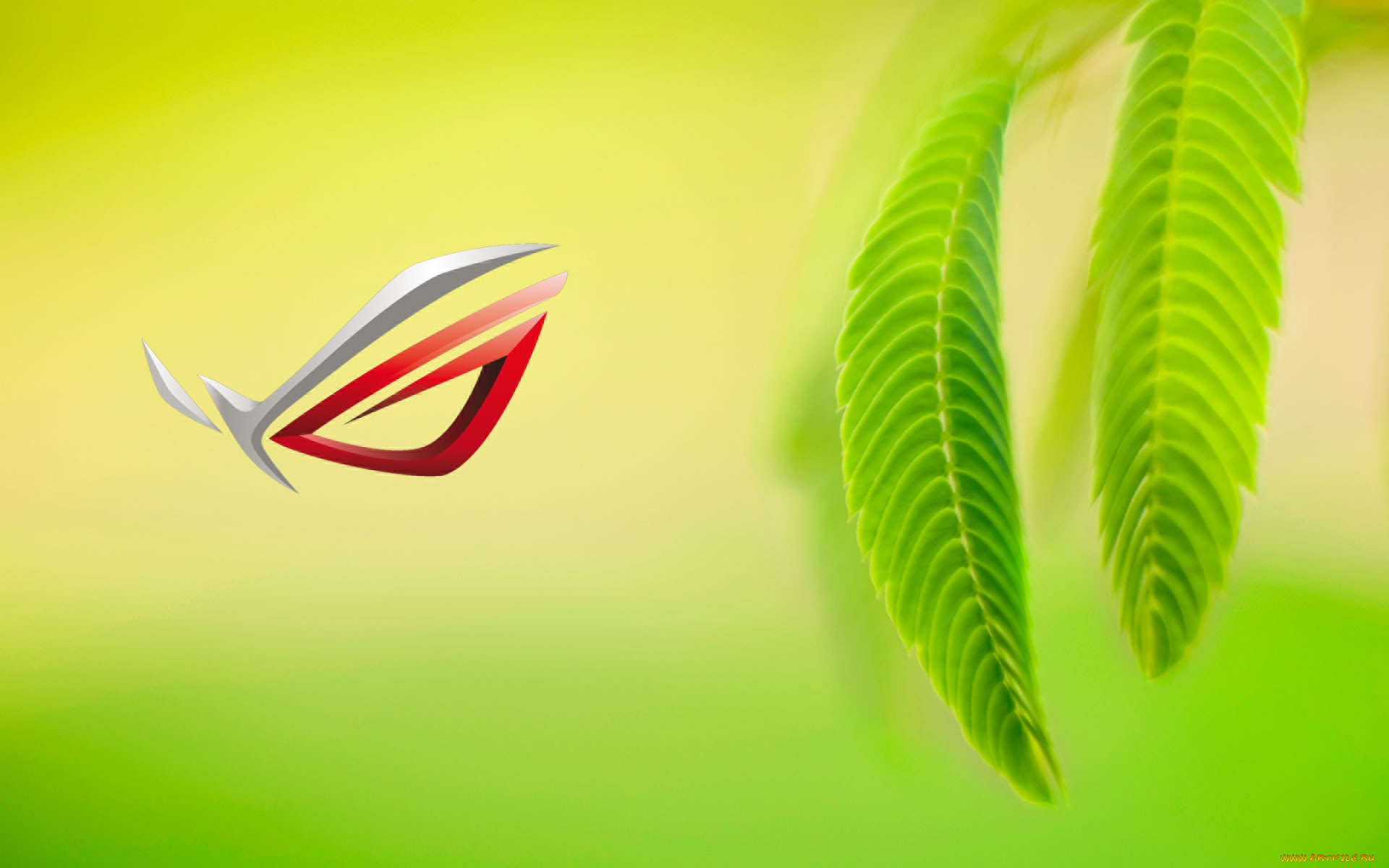 компьютеры, asus, фон, логотип