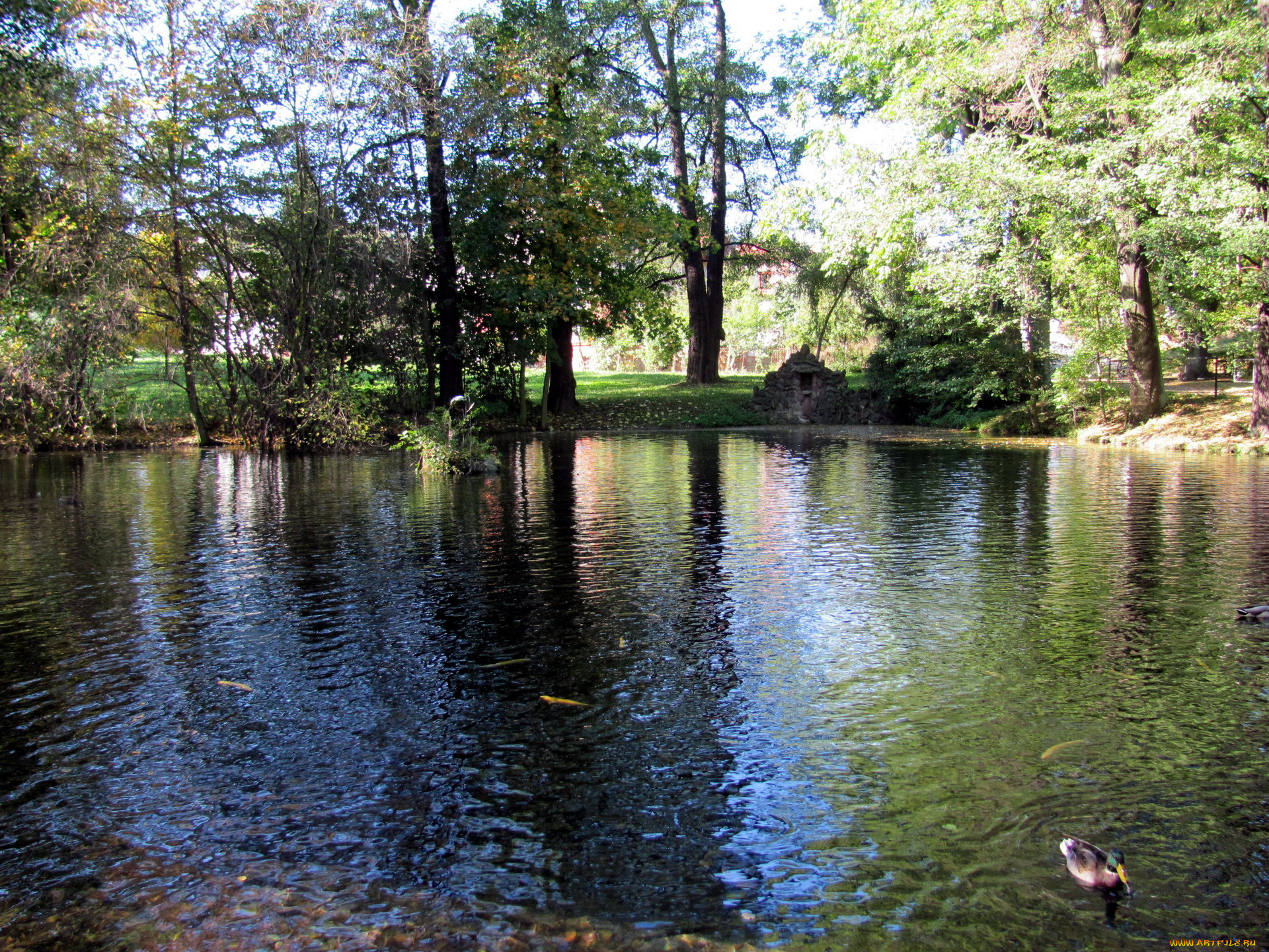 природа, реки, озера, пруд