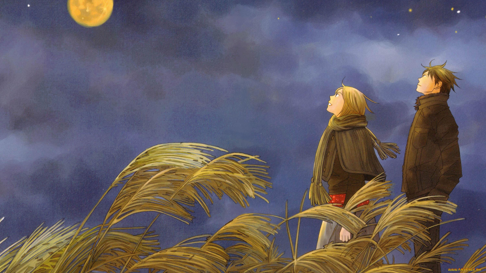 аниме, nodame, cantabile, парень, девушка, камыши, небо, луна, свидание