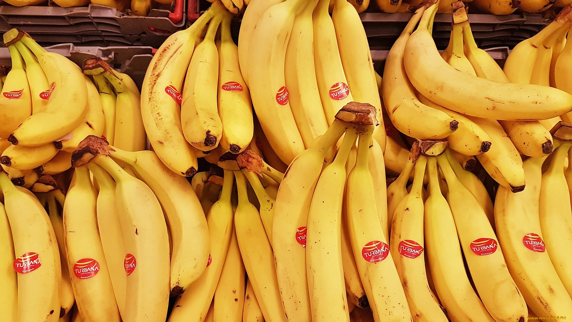 еда, бананы