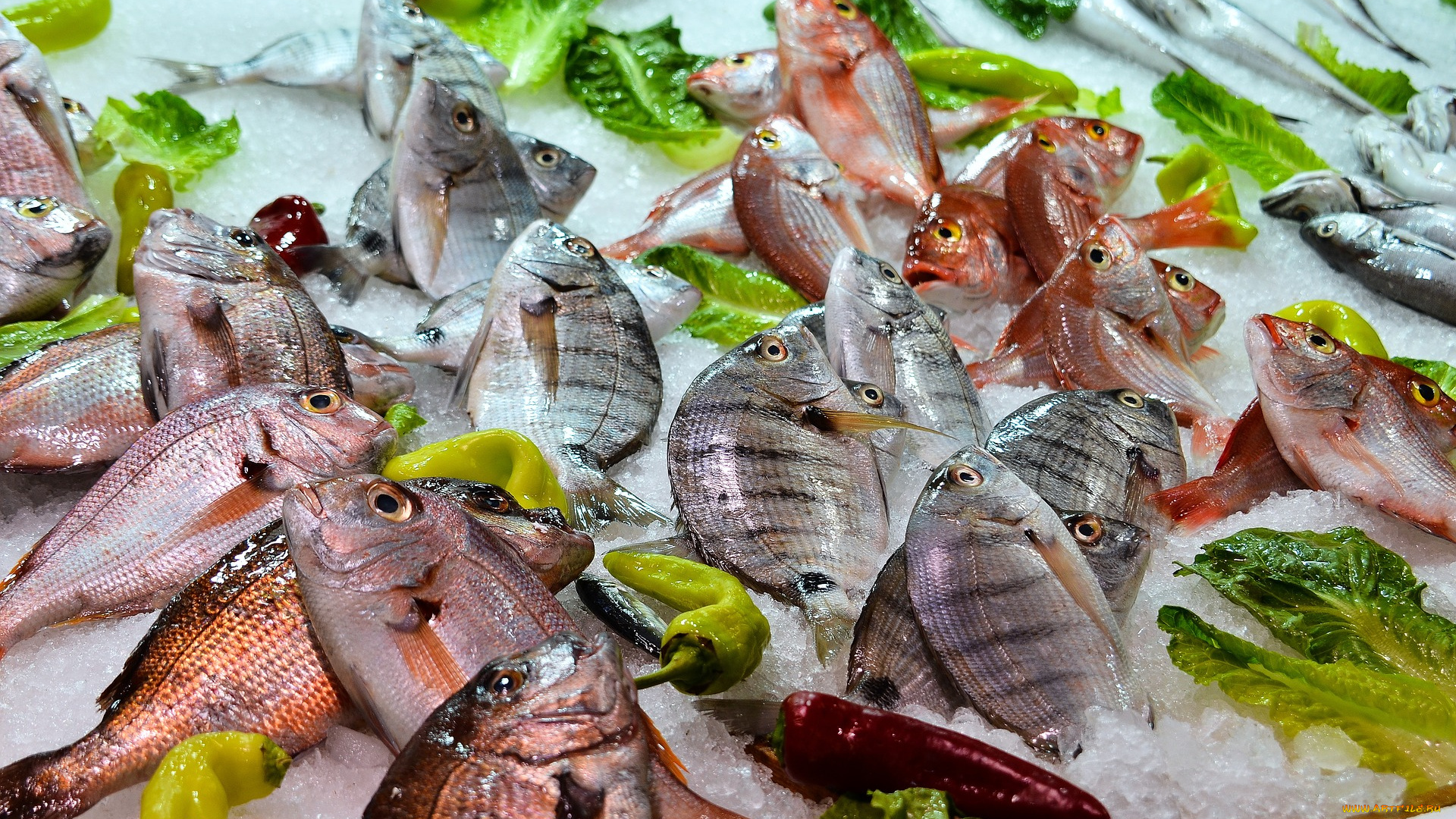 еда, рыба, , морепродукты, , суши, , роллы