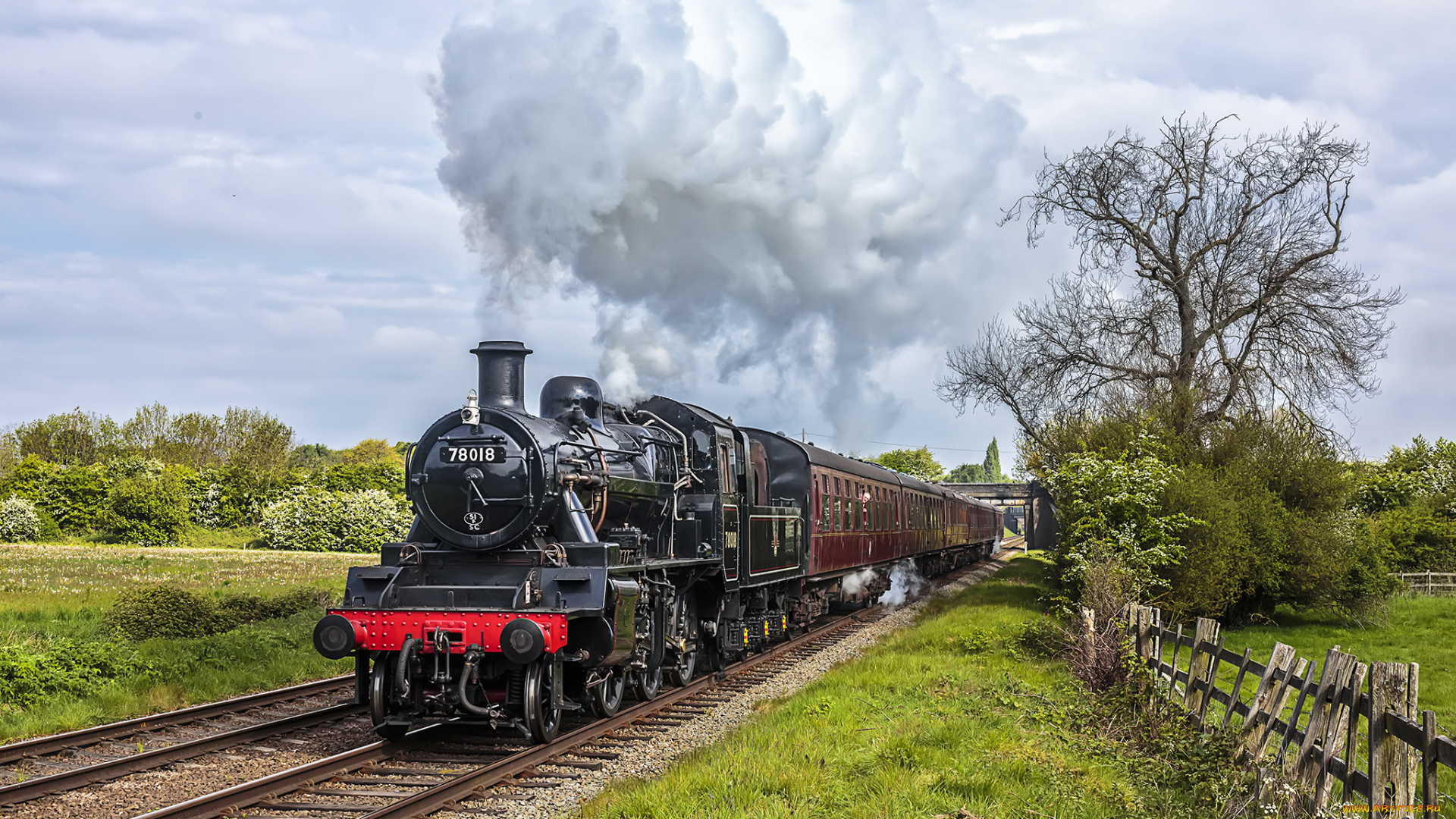 техника, паровозы, локомотив, состав