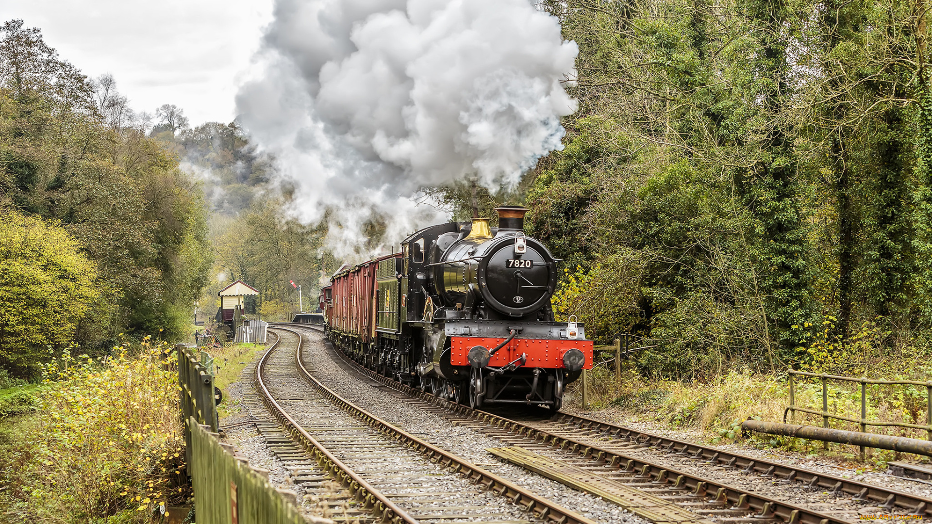 техника, паровозы, локомотив, состав