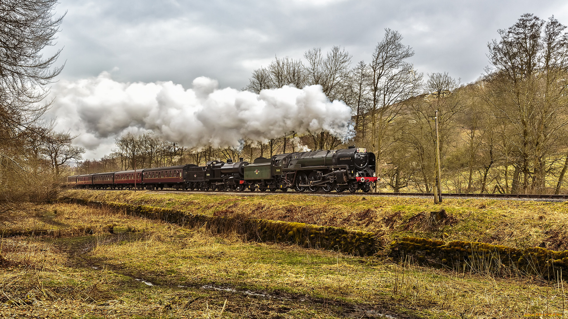 техника, паровозы, локомотив, состав