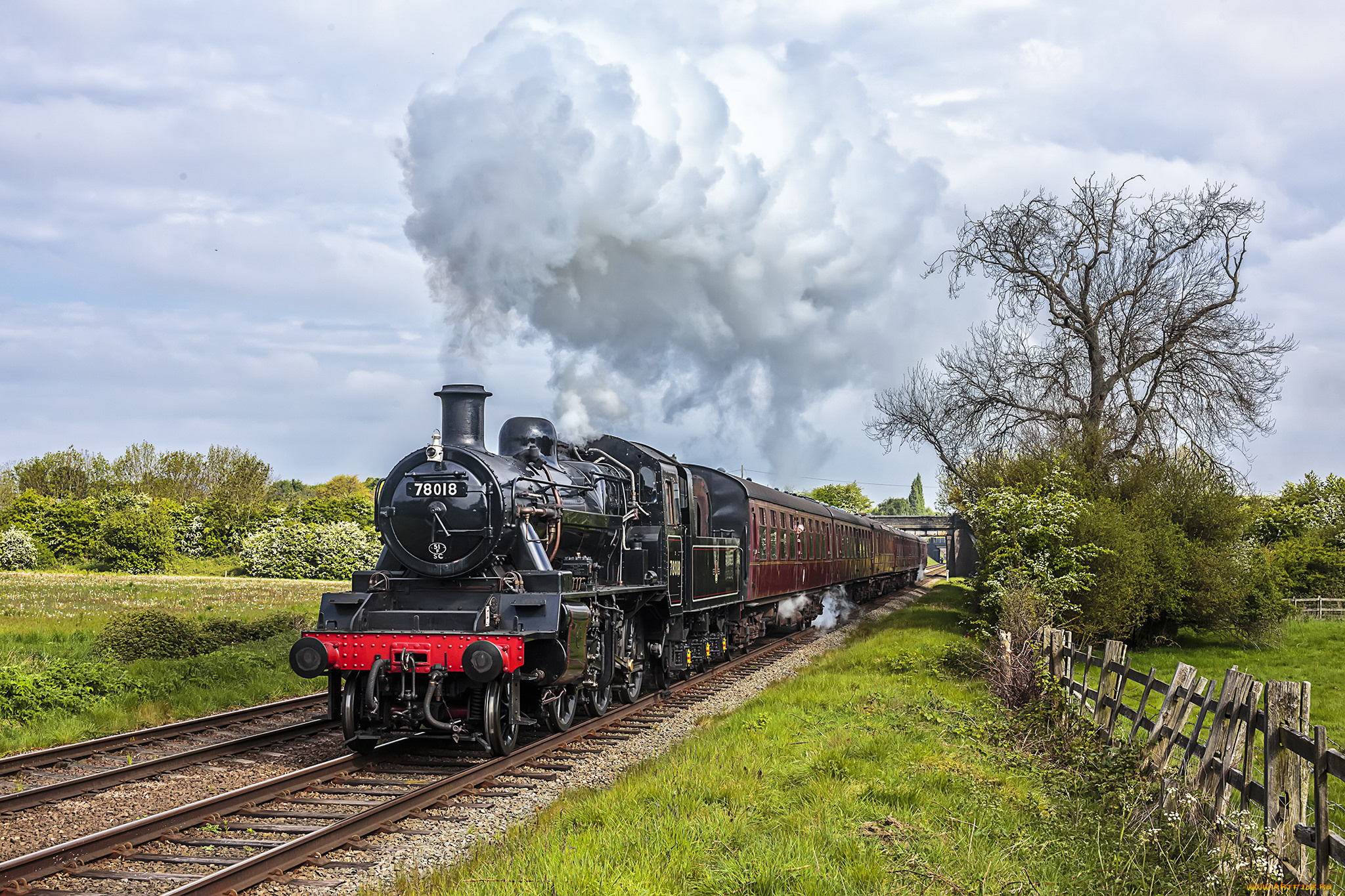 техника, паровозы, локомотив, состав