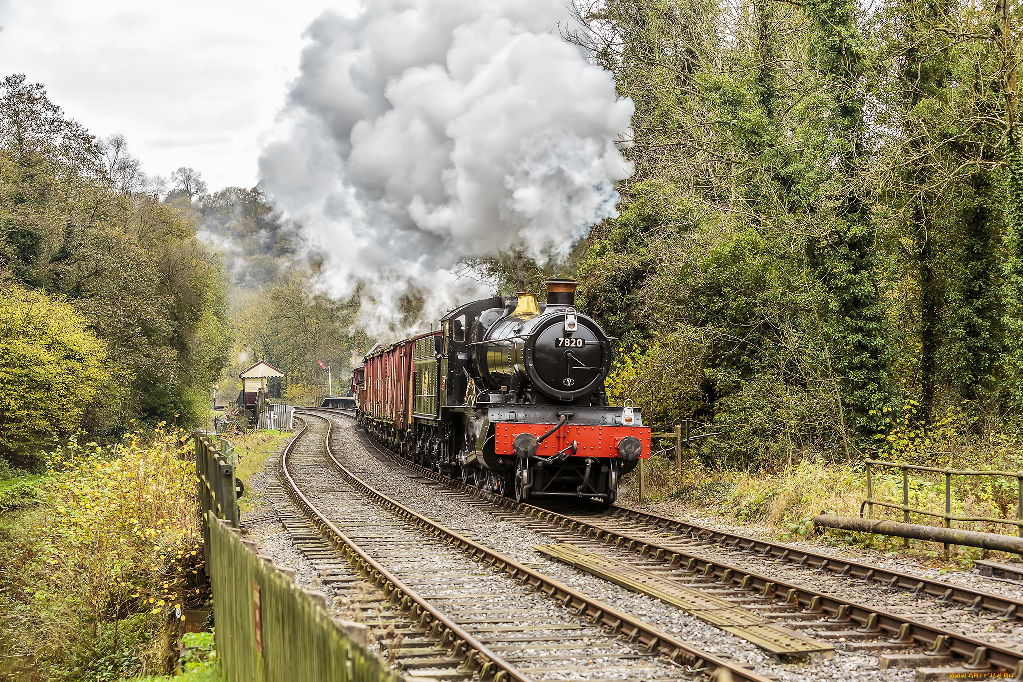 техника, паровозы, локомотив, состав