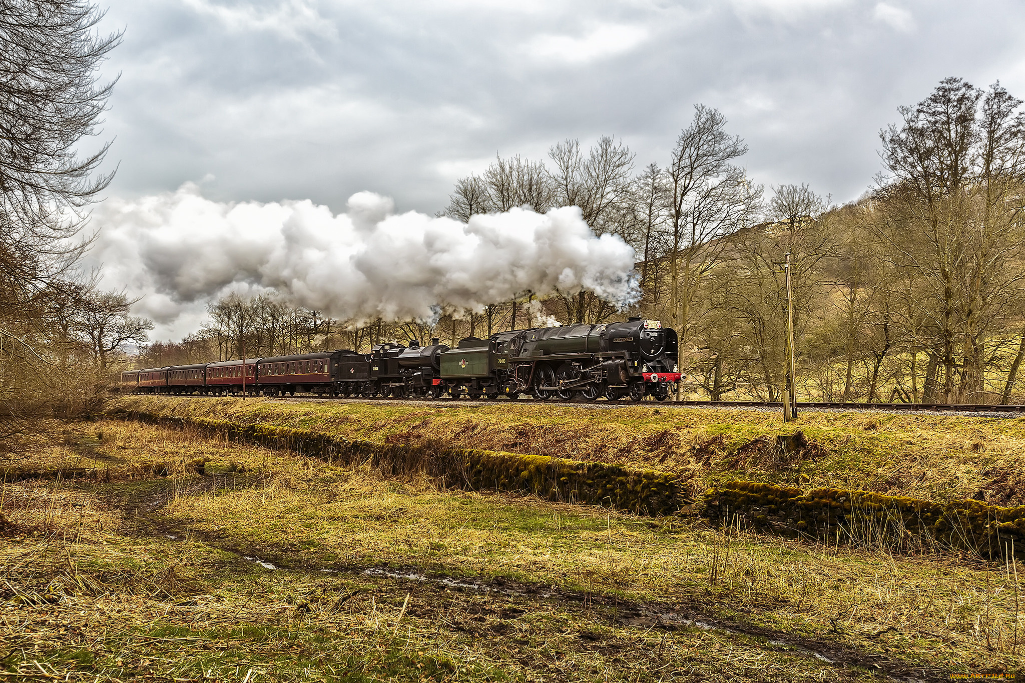 техника, паровозы, локомотив, состав