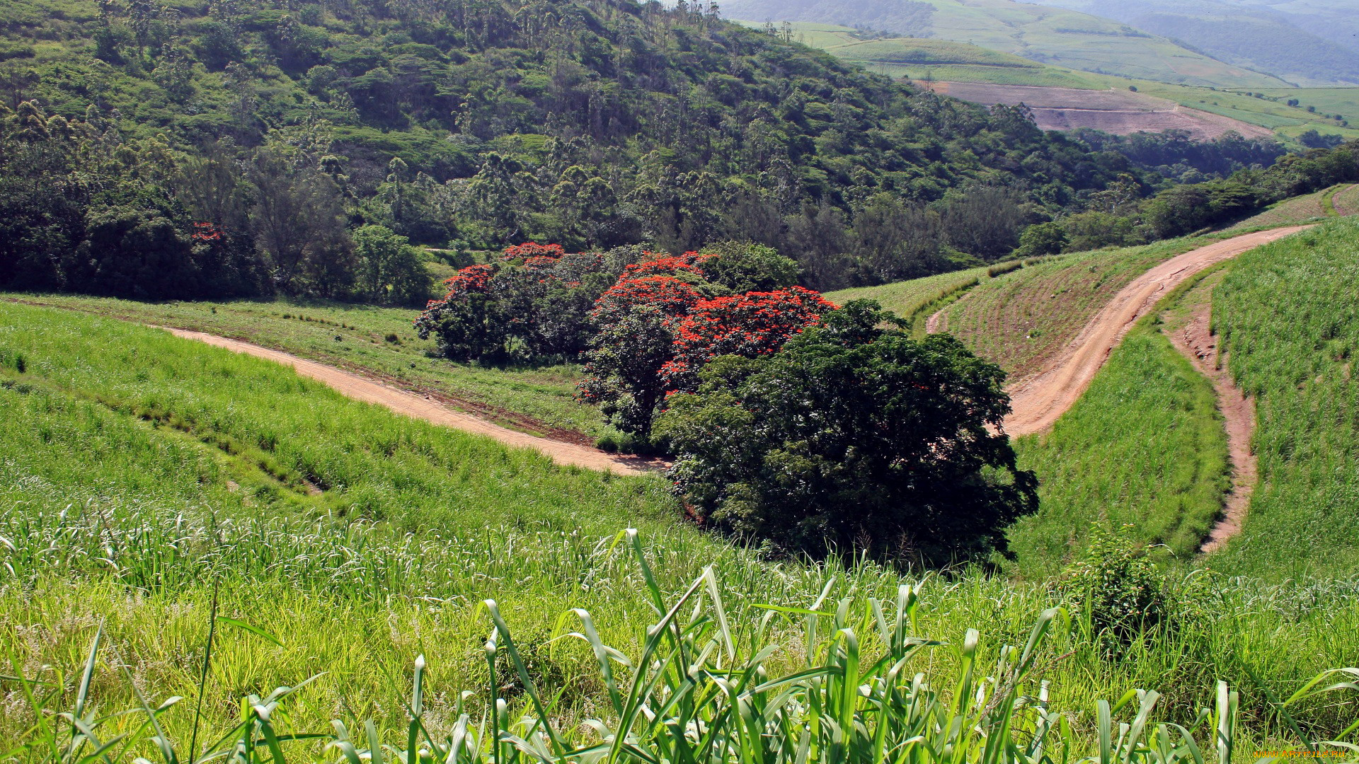 природа, дороги, дорога, луг, горы