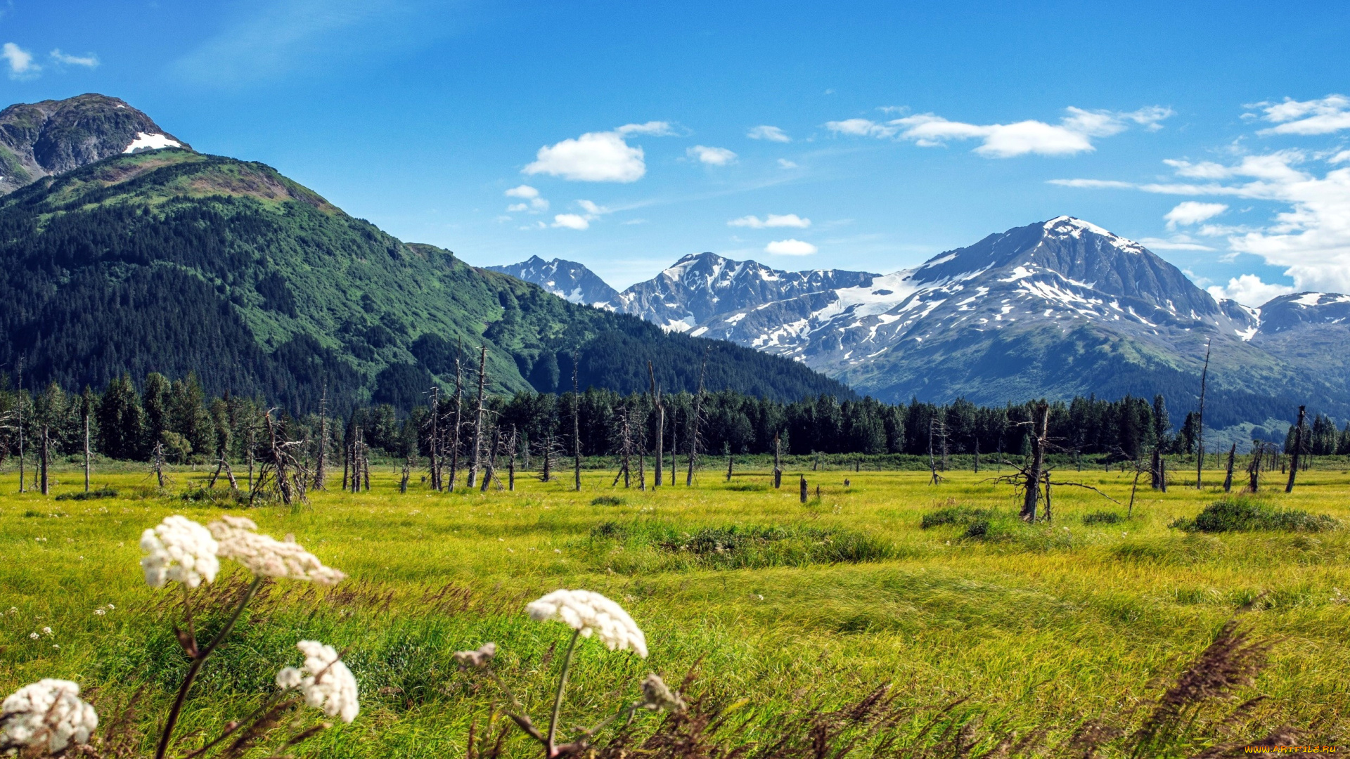 природа, луга, луг, трава, горы